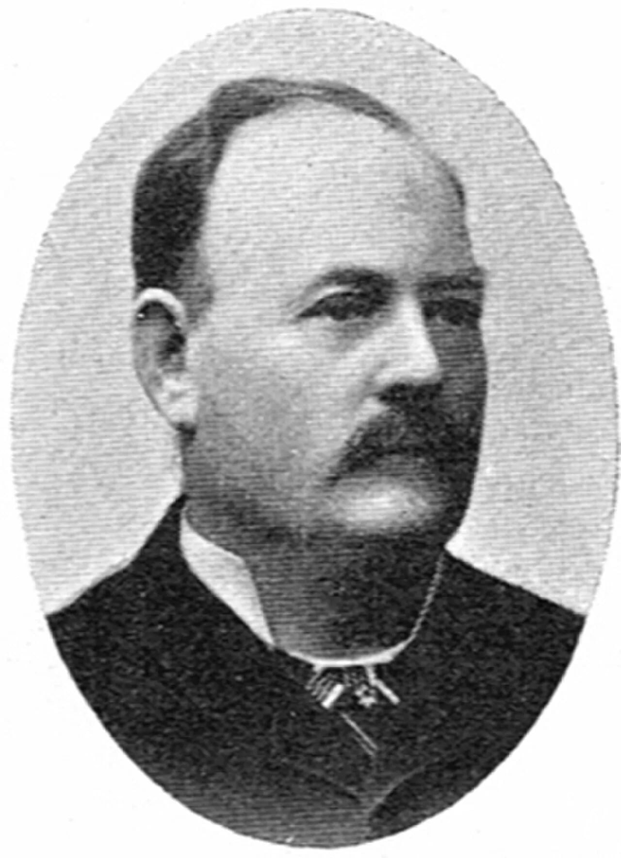 Porträt von Jonas Domeij (1839–1916) – Gedenkseite