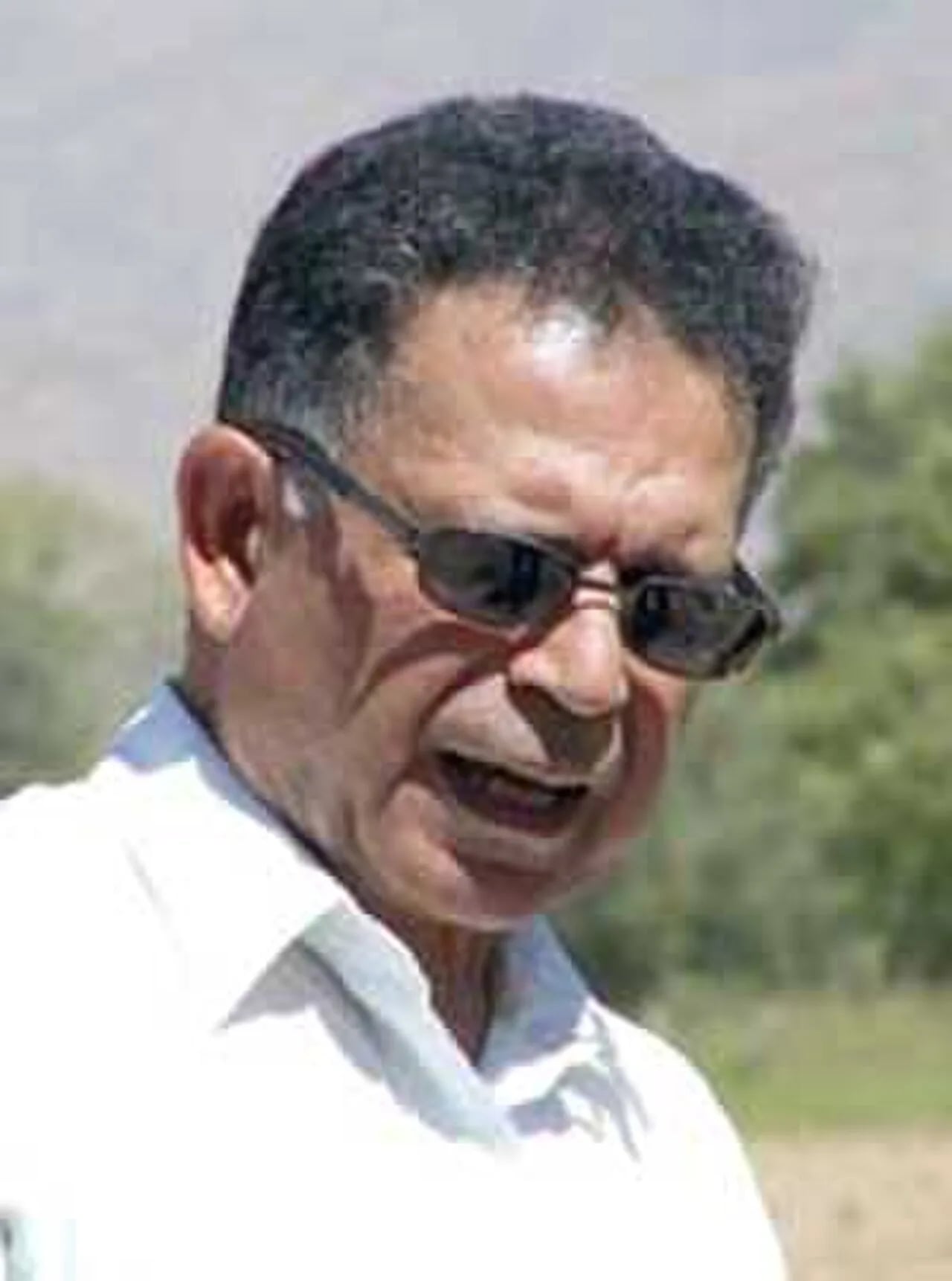 Porträt von Alireza Shapour Shahbazi (1942–2006) – Gedenkseite