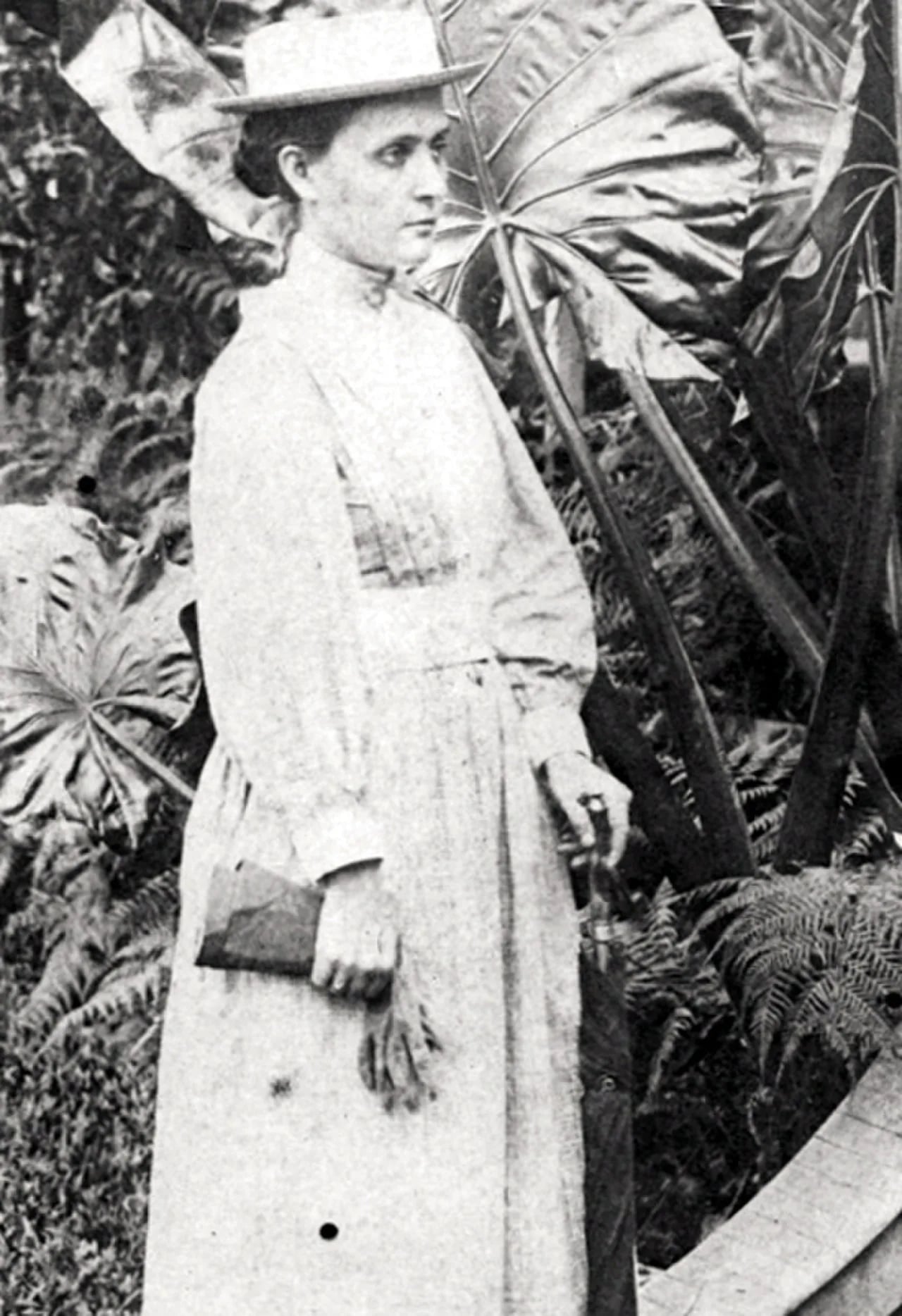 Portrait of Almeda Eliza Hitchcock (1863–1895) – memorial page