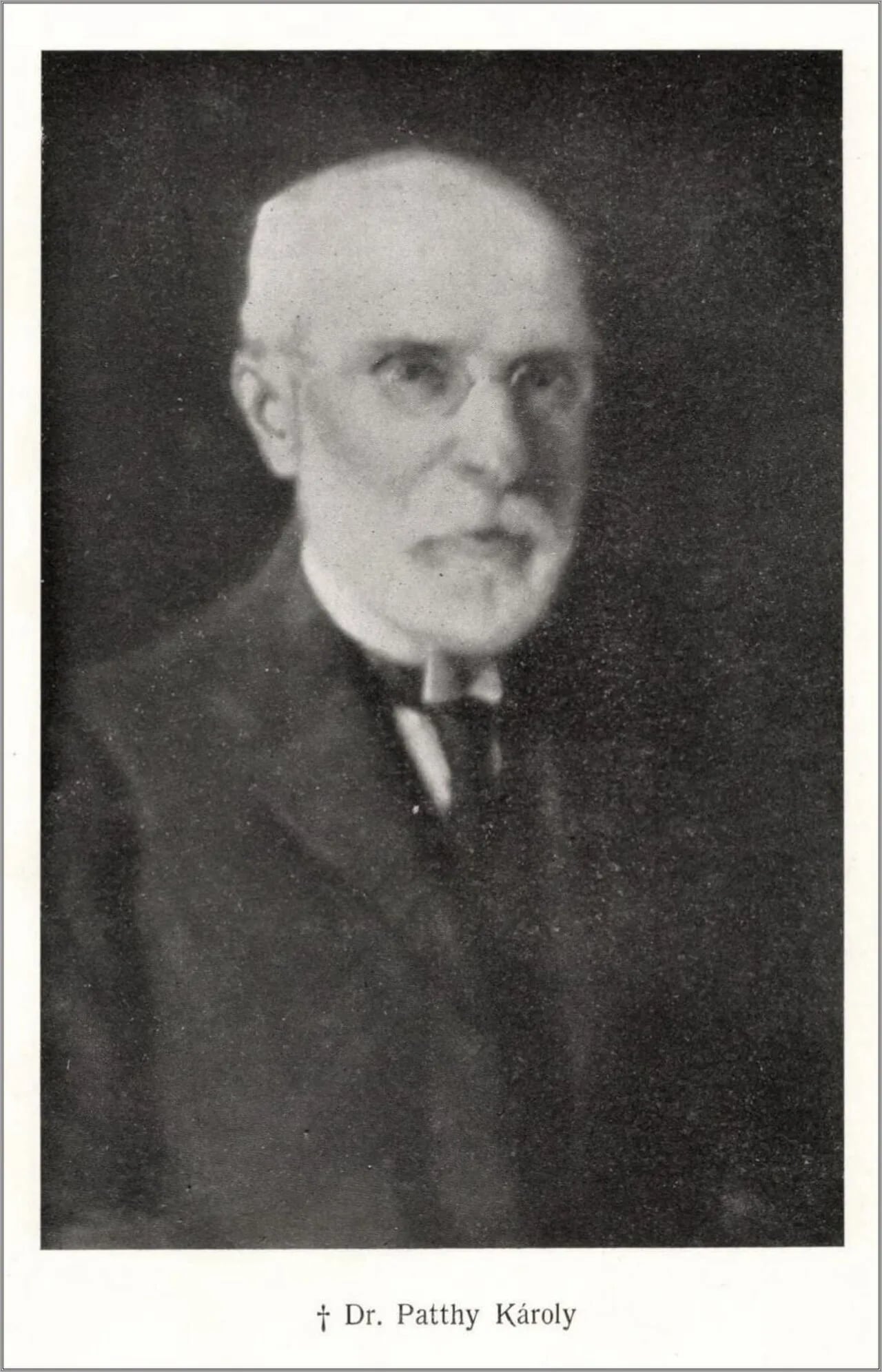 Porträt von Károly Patthy (1855–1930) – Gedenkseite