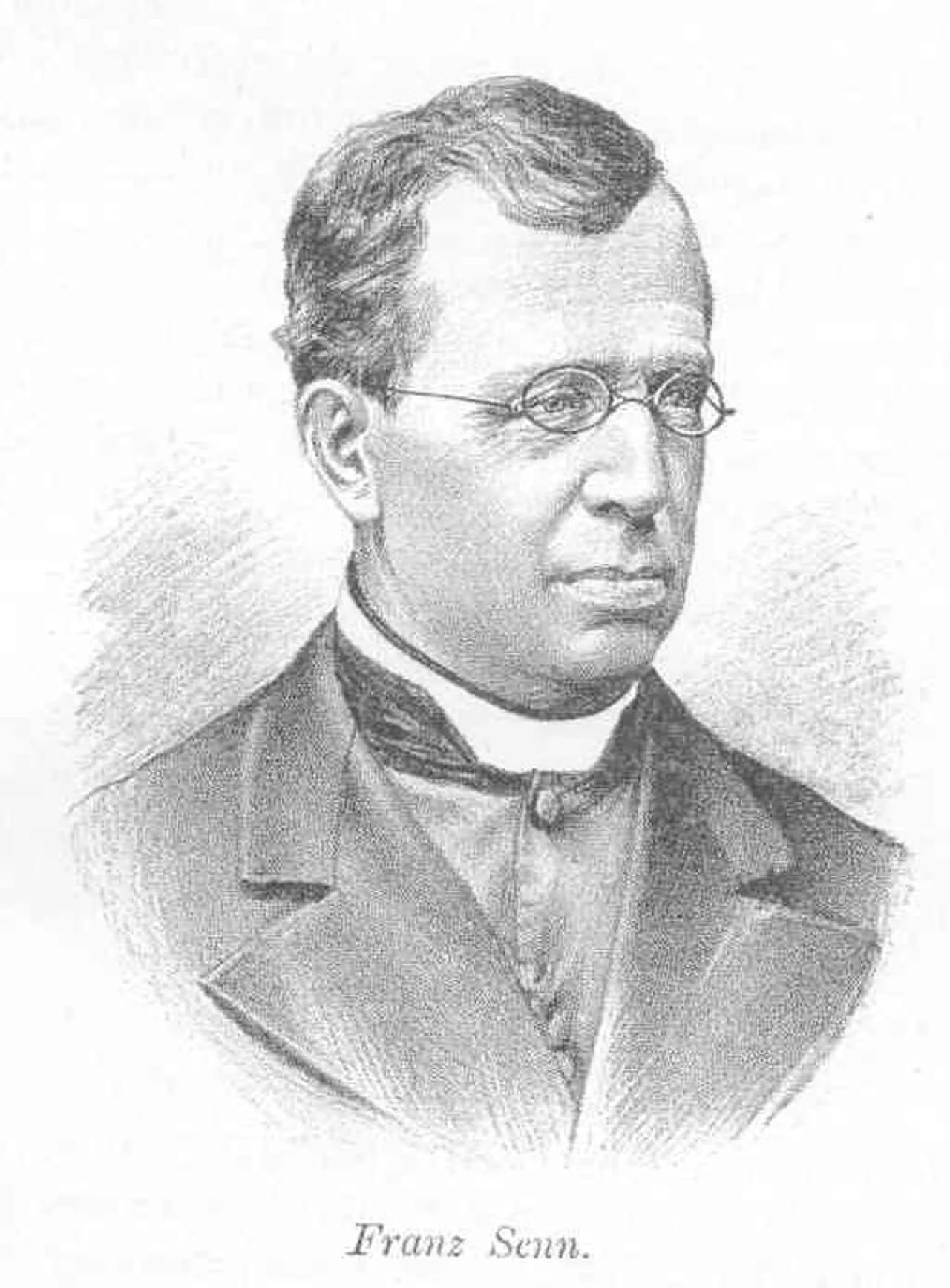 Portrait of Franz Senn (1831–1884) – memorial page