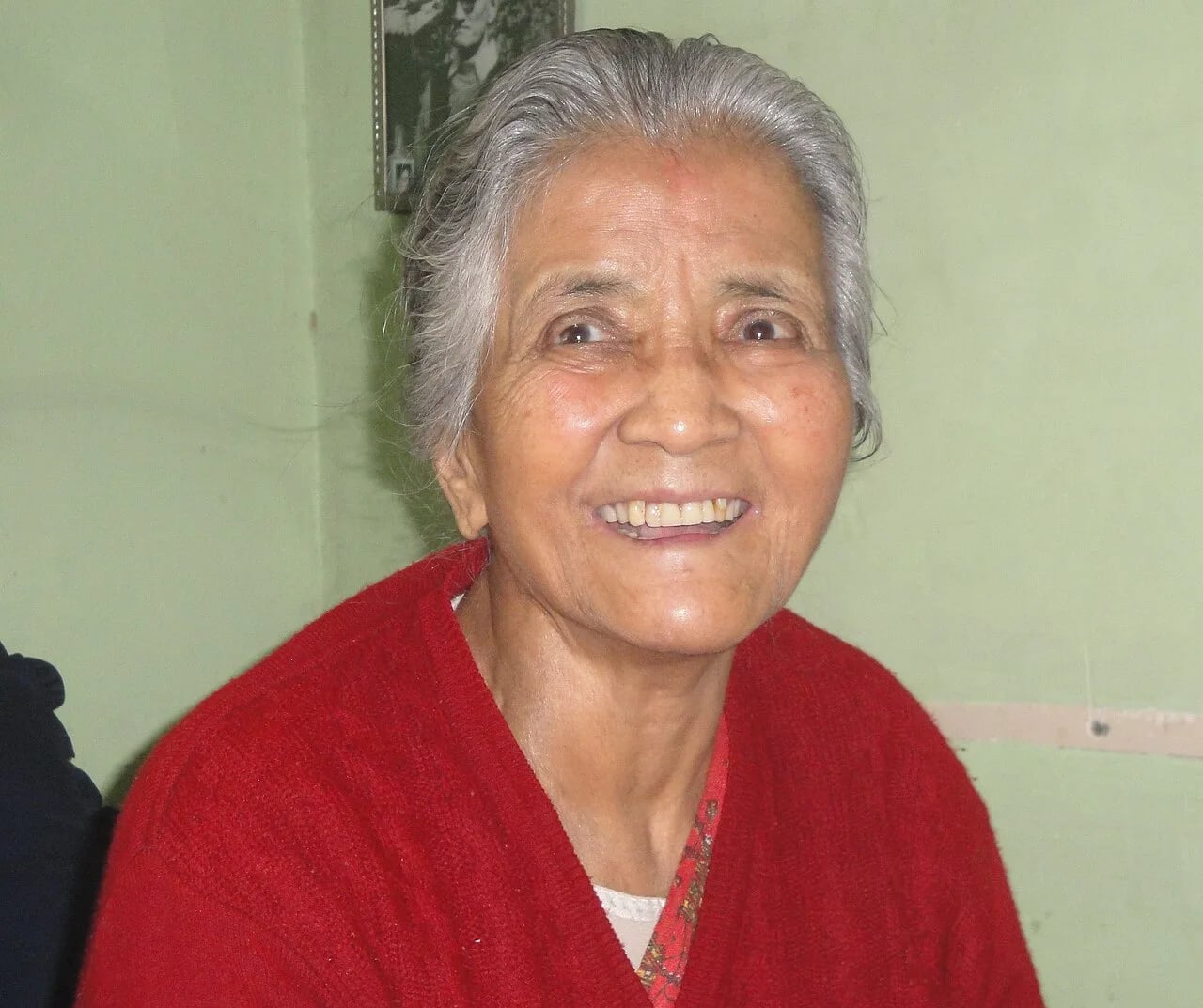 Portrait of Sahana Pradhan (1927–2014) – memorial page