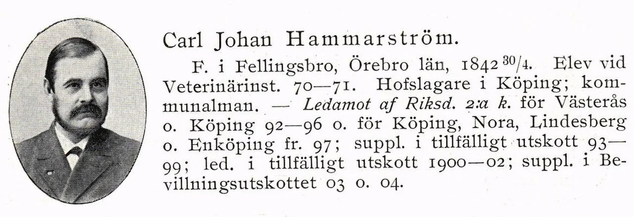 Porträt von Carl Johan Hammarström (1842–1926) – Gedenkseite
