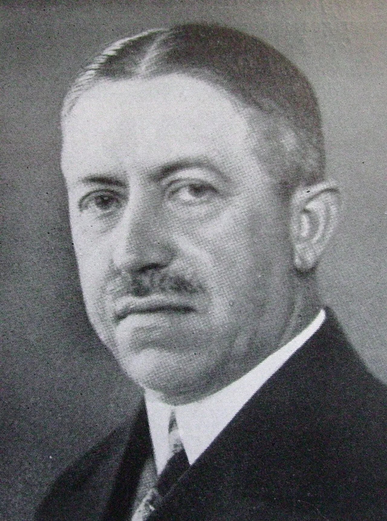 Porträt von Wiking Johnsson (1878–1969) – Gedenkseite