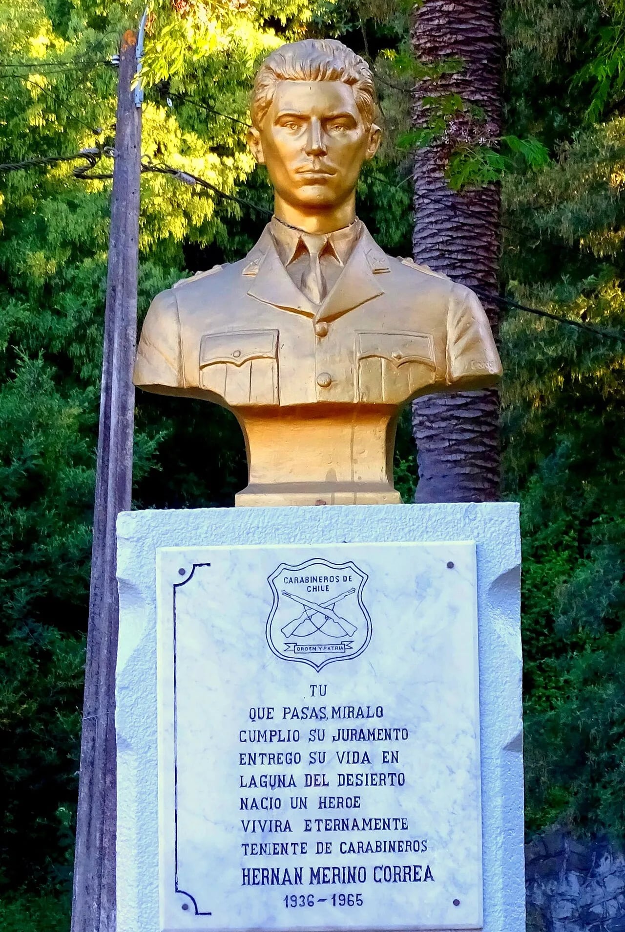 Porträt von Hernán Merino (1936–1965) – Gedenkseite