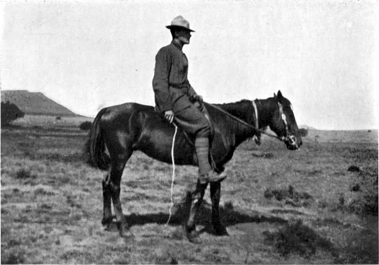 Porträt von Howard C. Hillegas (1872–1918) – Gedenkseite
