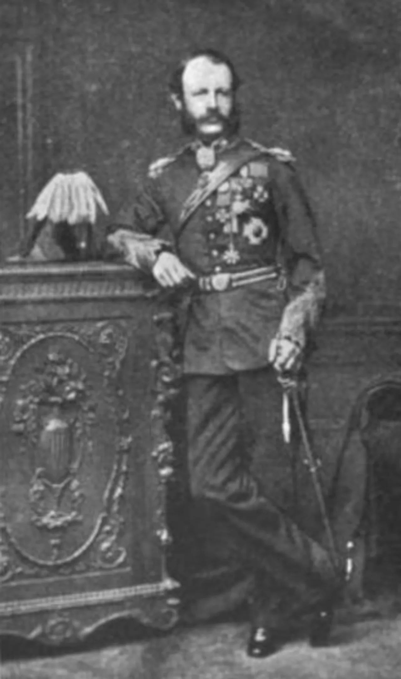 Portrait of Howard Craufurd Elphinstone (1829–1890) – memorial page