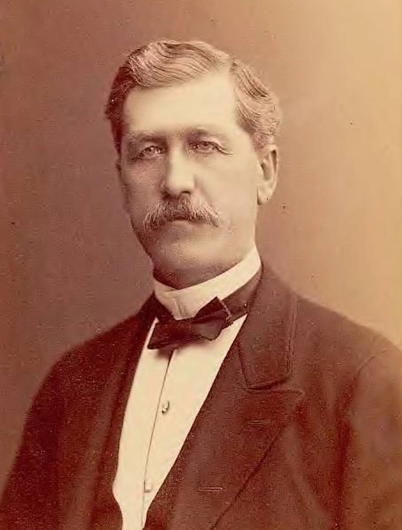 Portrait of Sten Leijonhufvud (1826–1908) – memorial page