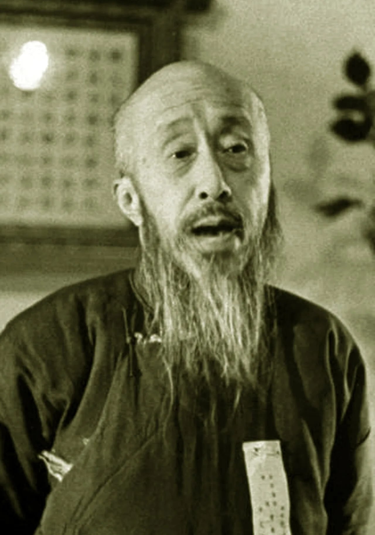 Porträt von Shen Junru (1875–1963) – Gedenkseite