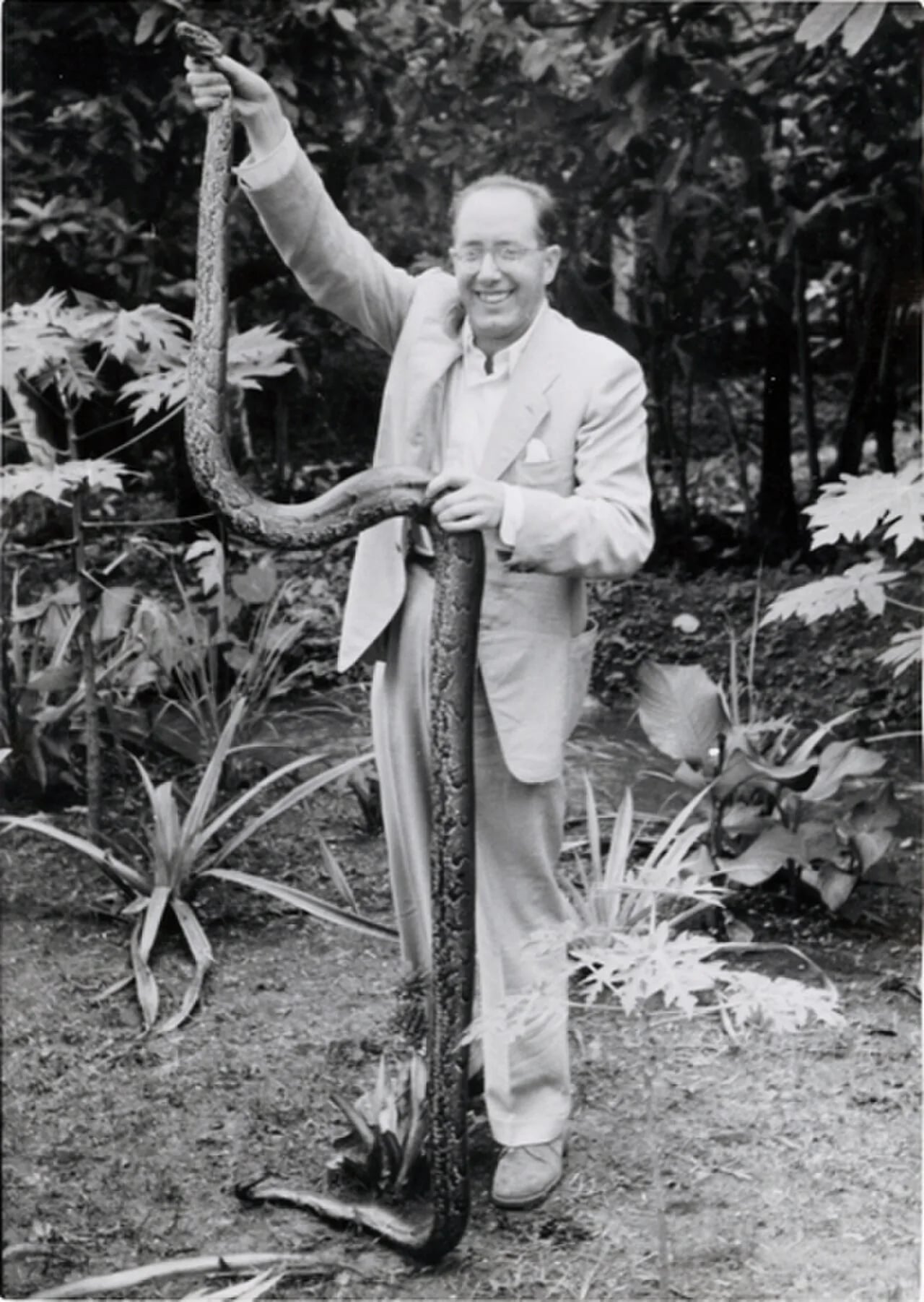 Portrait of Julio Martínez Santa-Olalla (1905–1972) – memorial page