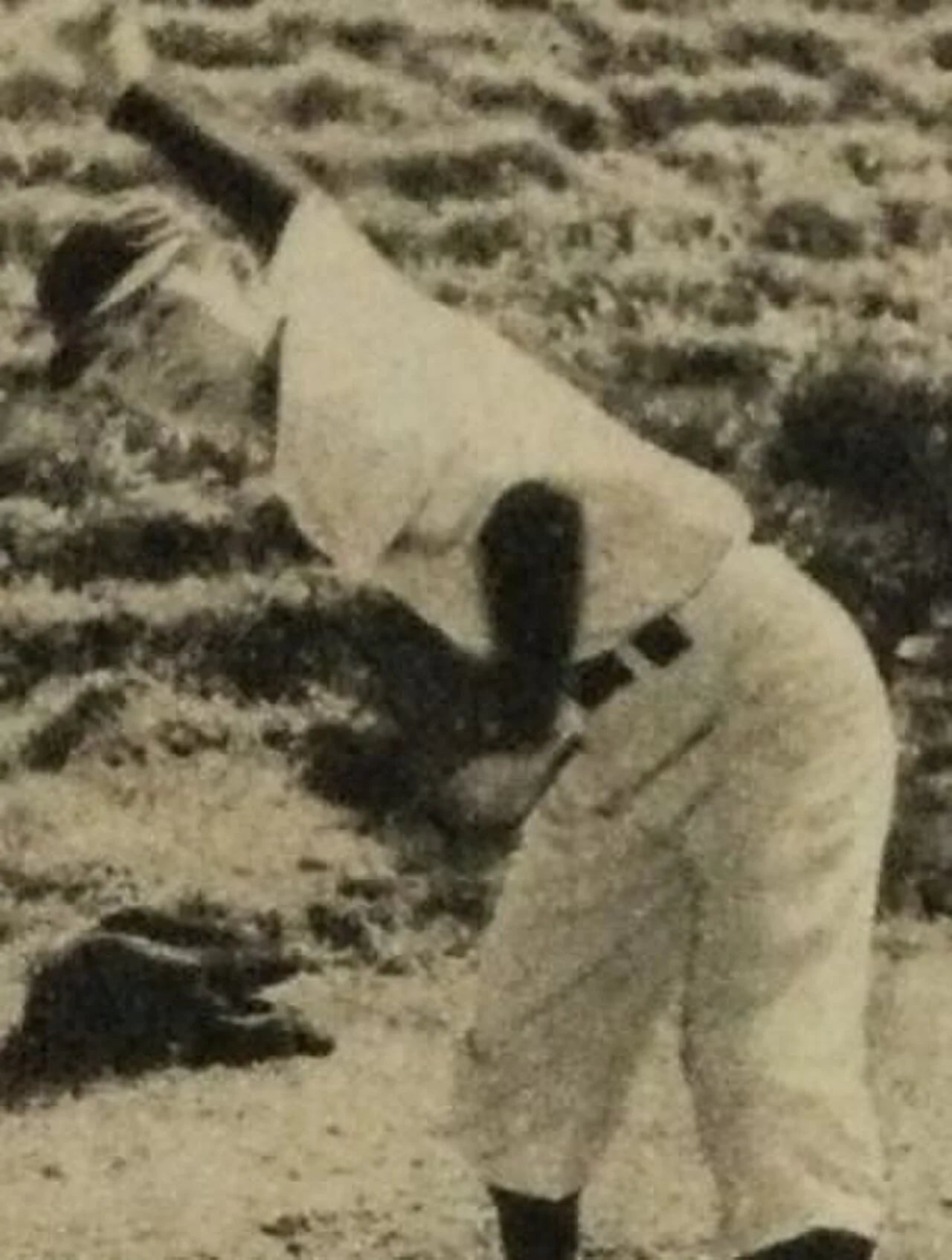 Porträt von Noboru Akiyama (1934–2000) – Gedenkseite