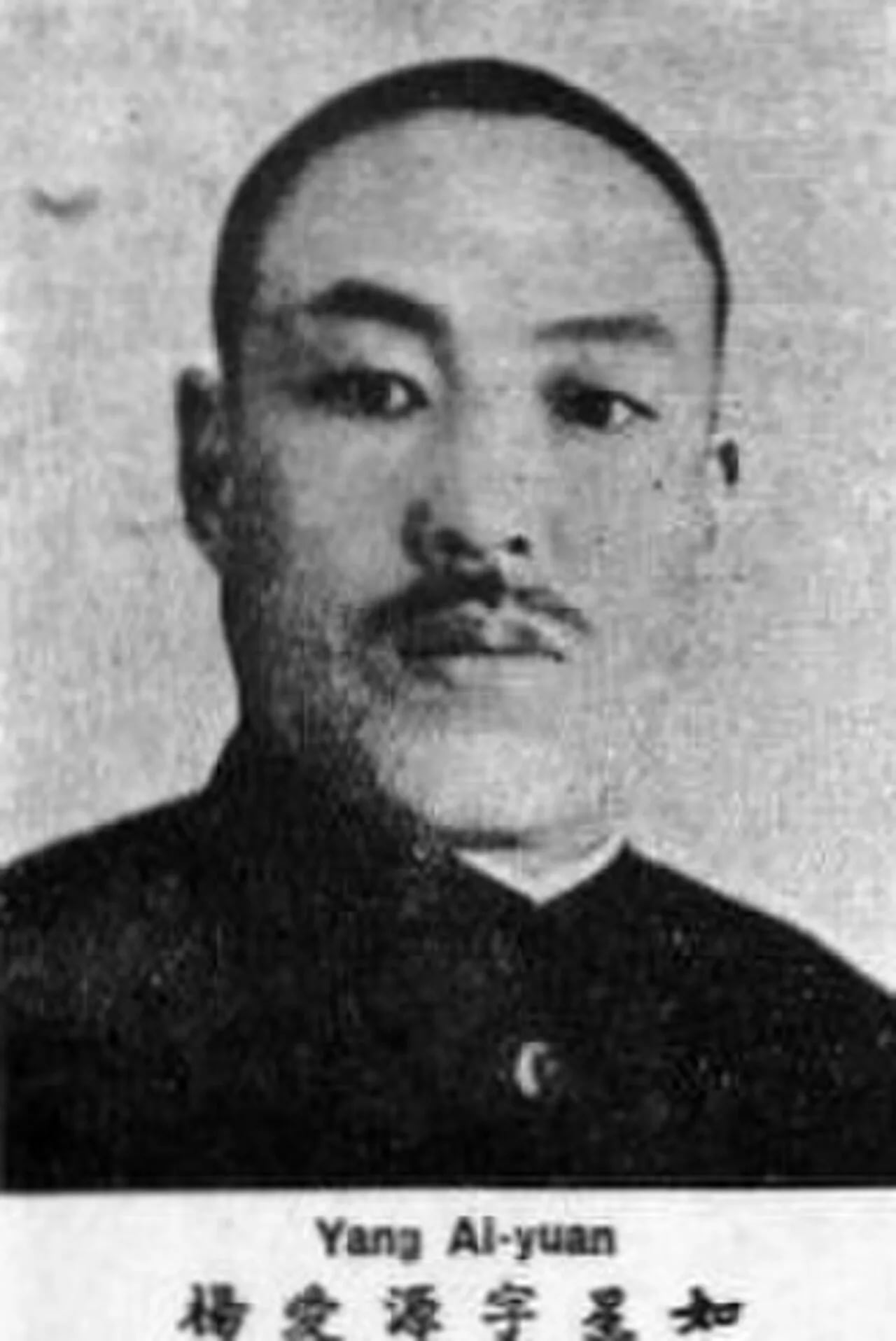 Portrait of Yang Aiyuan (1886–1959) – memorial page