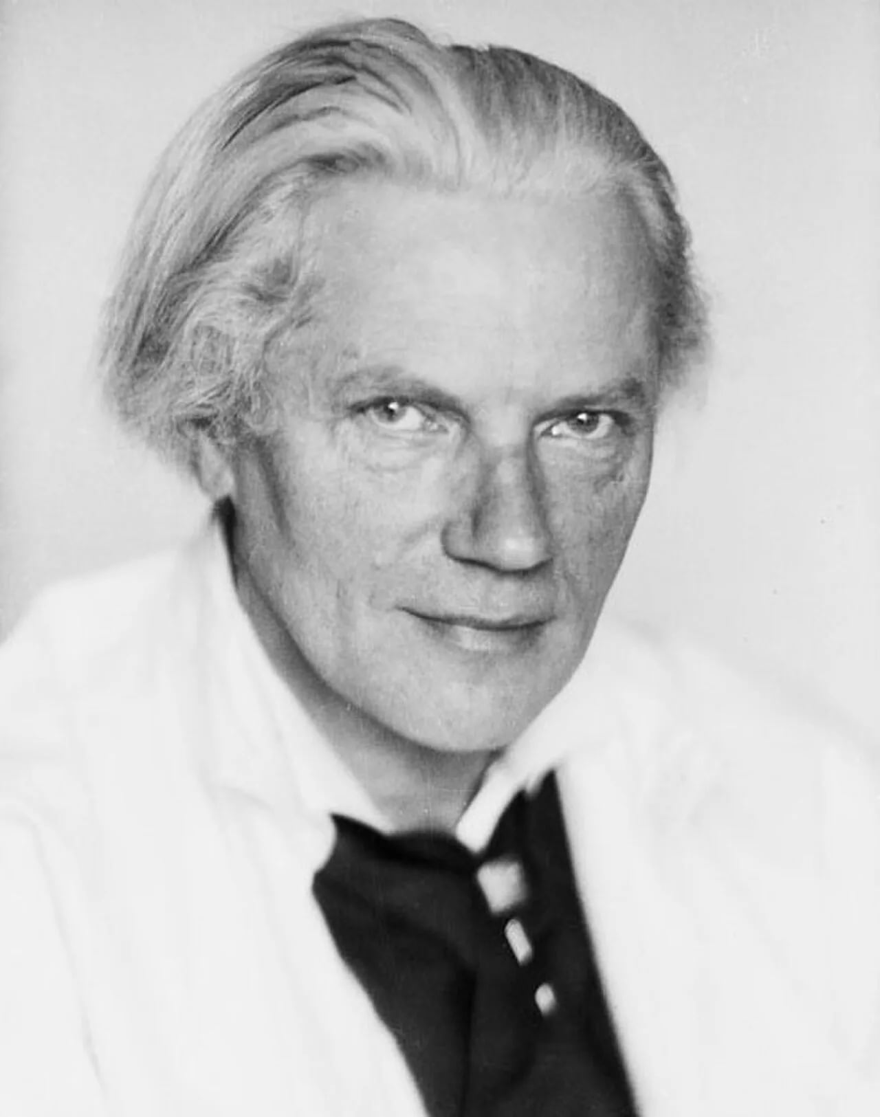 Porträt von Jan de Meijere (1879–1950) – Gedenkseite