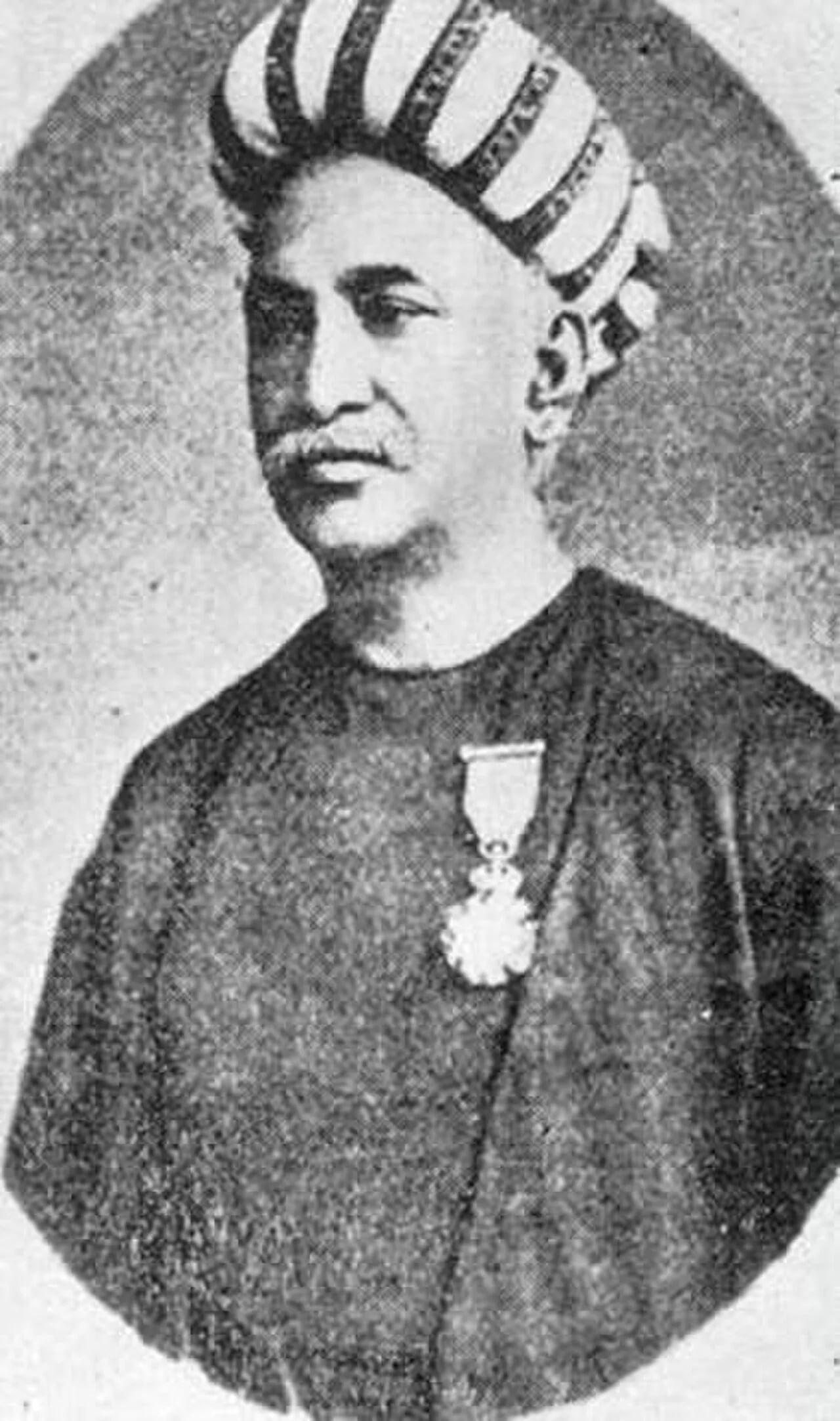 Portrait of Rajendralal Mitra (1824–1891) – memorial page