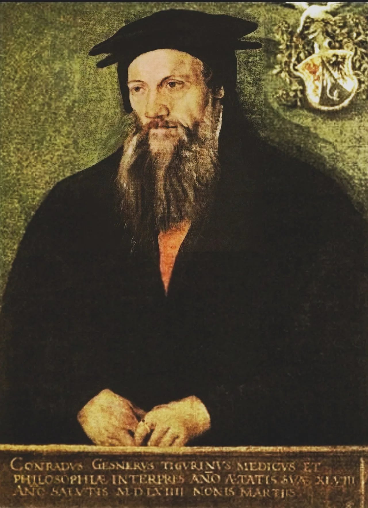 Porträt von Conrad Gessner (1516–1565) – Gedenkseite