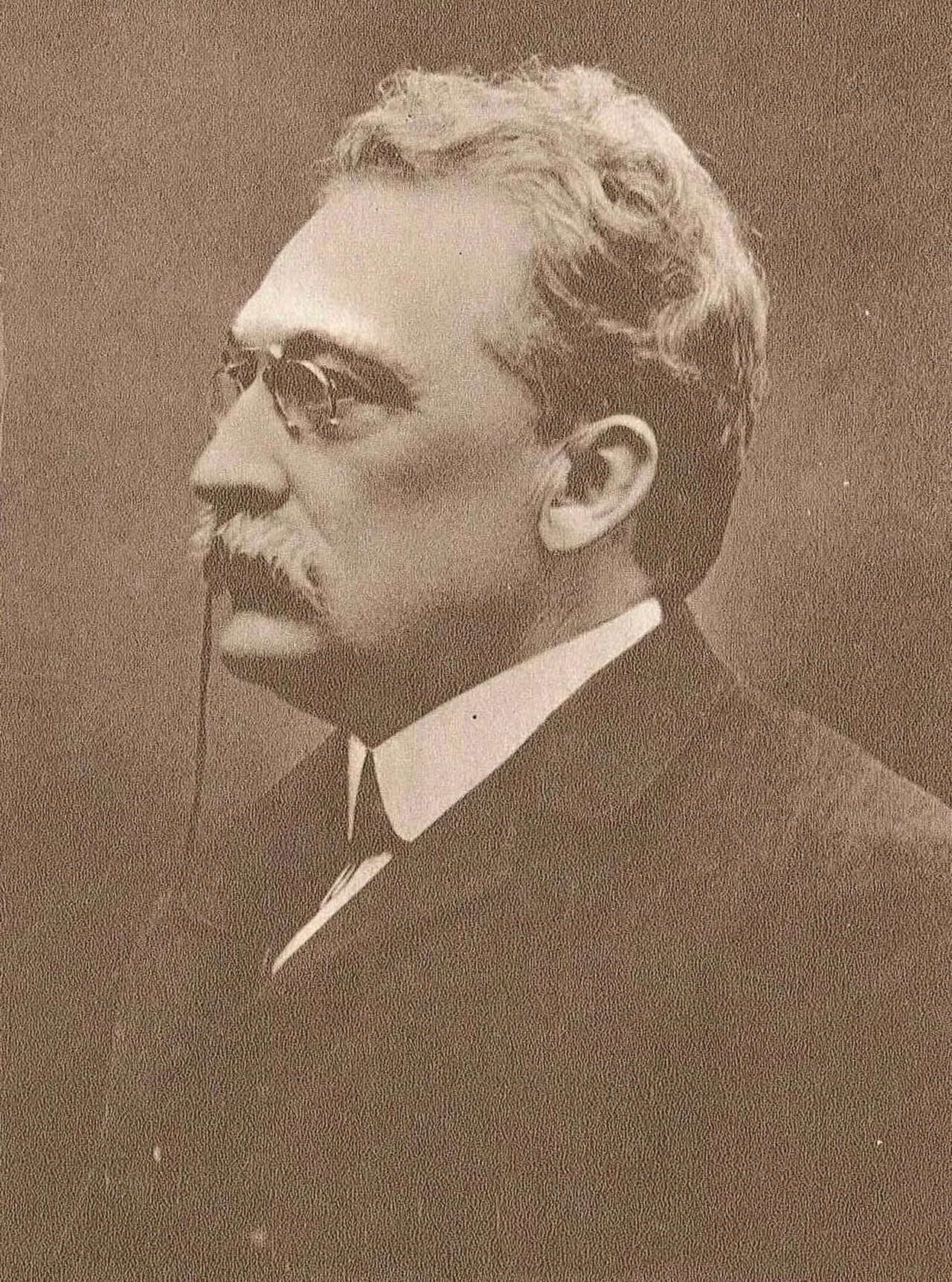 Porträt von Vitalis Norström (1856–1916) – Gedenkseite