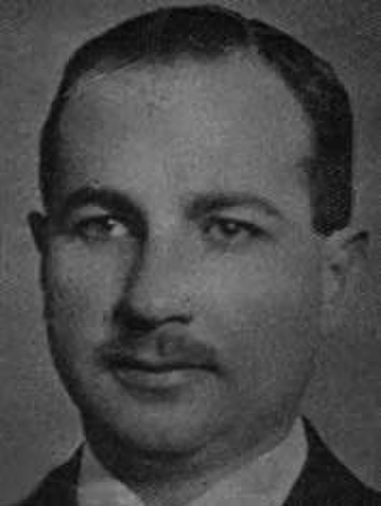 Portrait of Şinasi Devrin (1905–1952) – memorial page