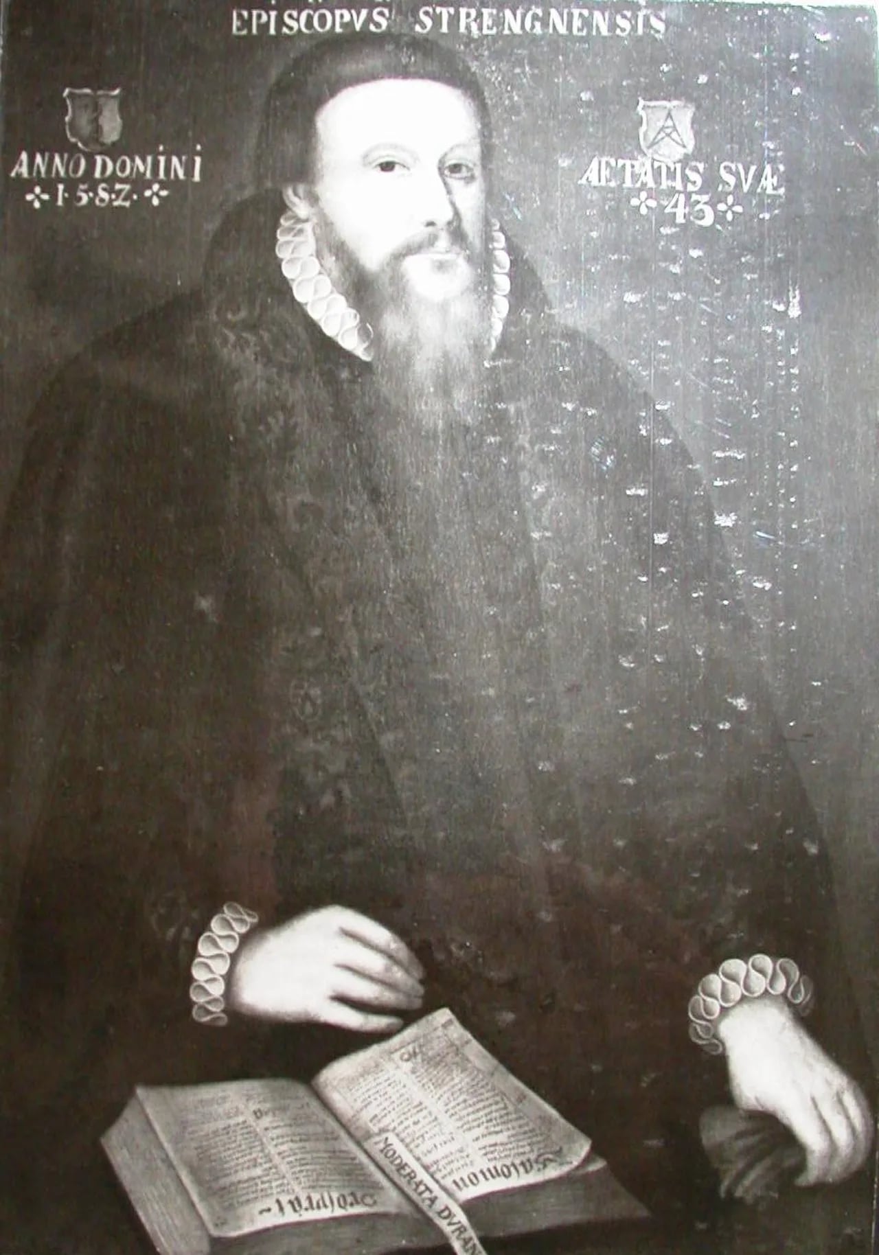 Portrait of Petrus Jonæ Helsingus (1538–1607) – memorial page