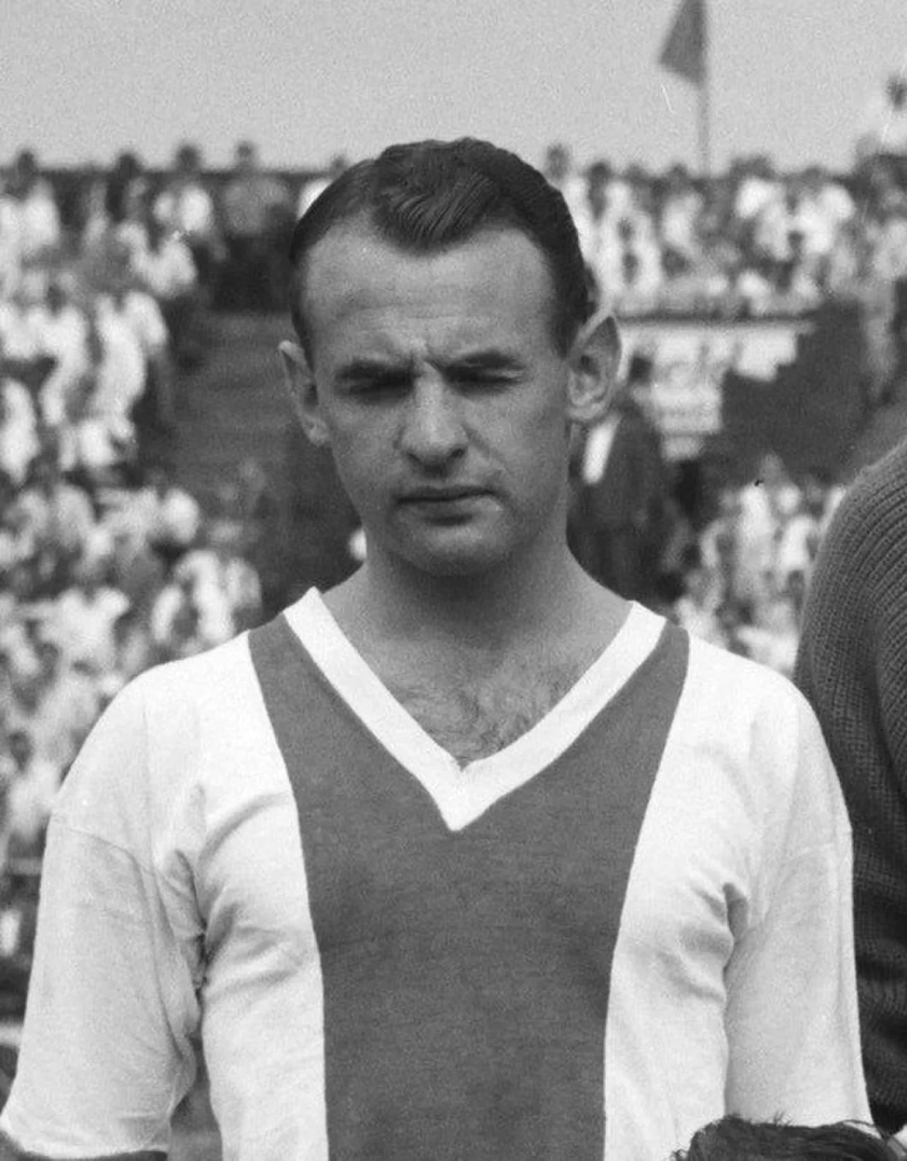 Portrait of Guus van Ham (1935–2017) – memorial page