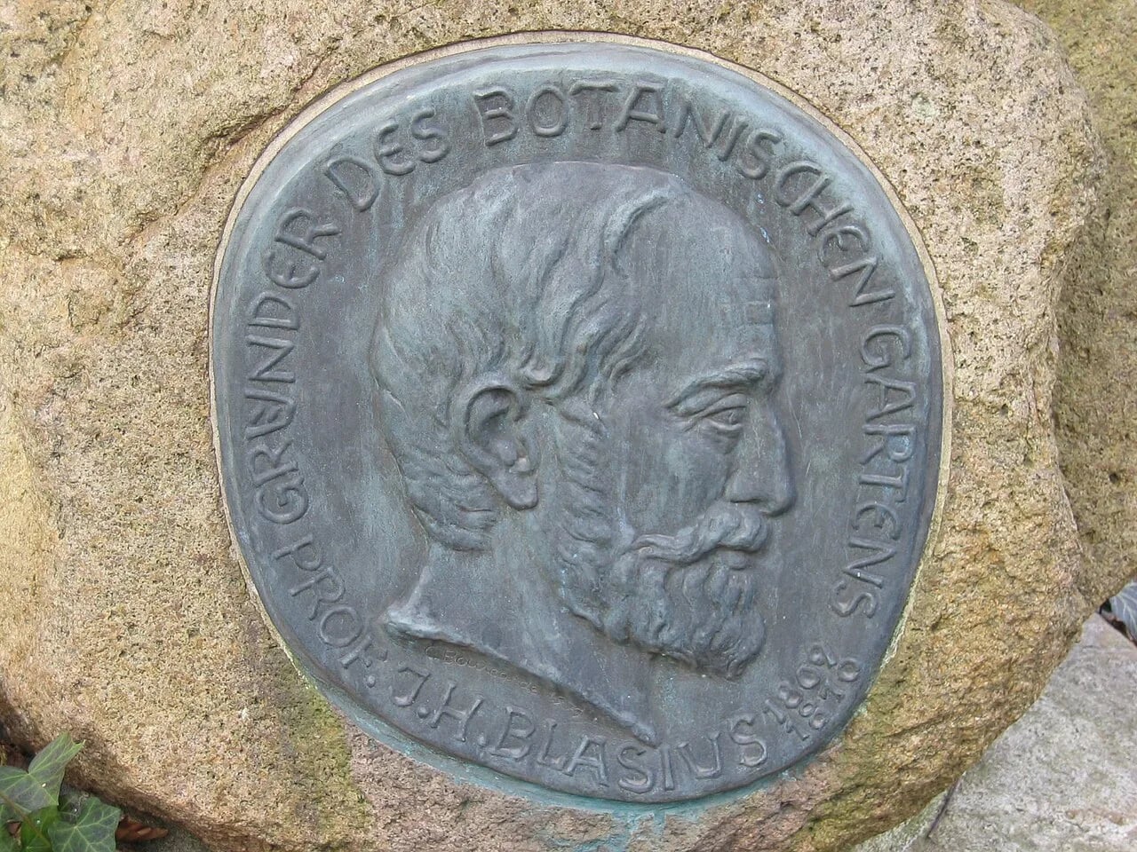 Porträt von Johann Heinrich Blasius (1809–1870) – Gedenkseite