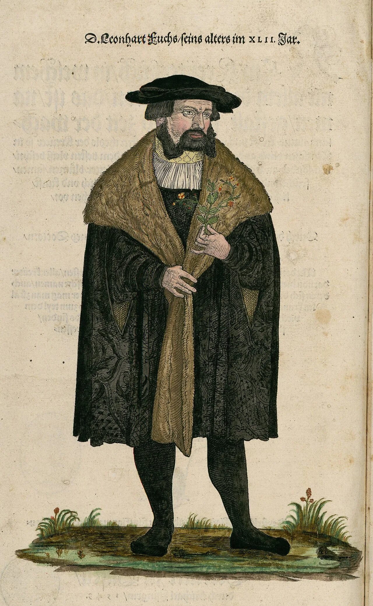 Porträt von Leonhart Fuchs (1501–1566) – Gedenkseite