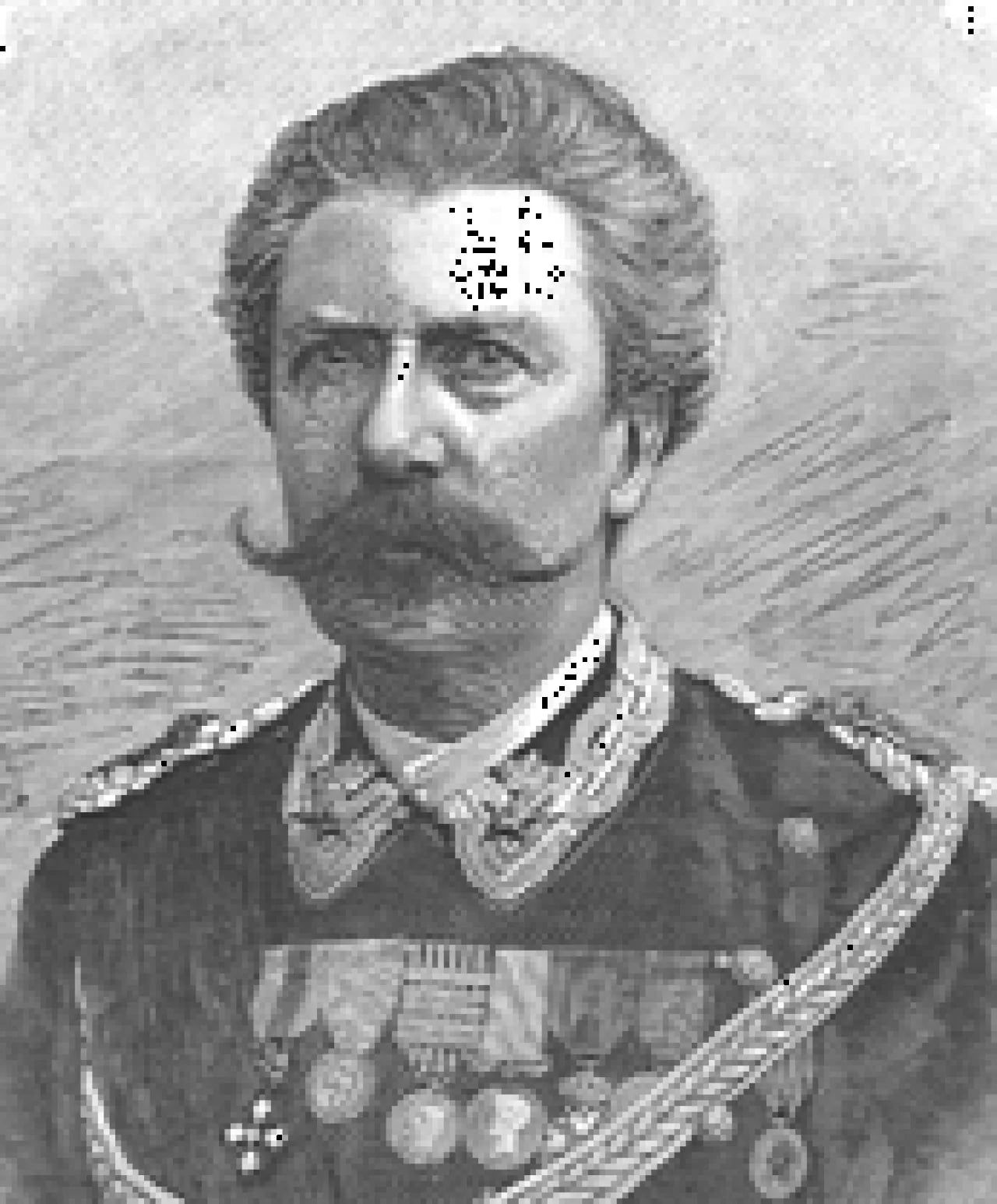 Porträt von Ettore Bertolè Viale (1829–1892) – Gedenkseite