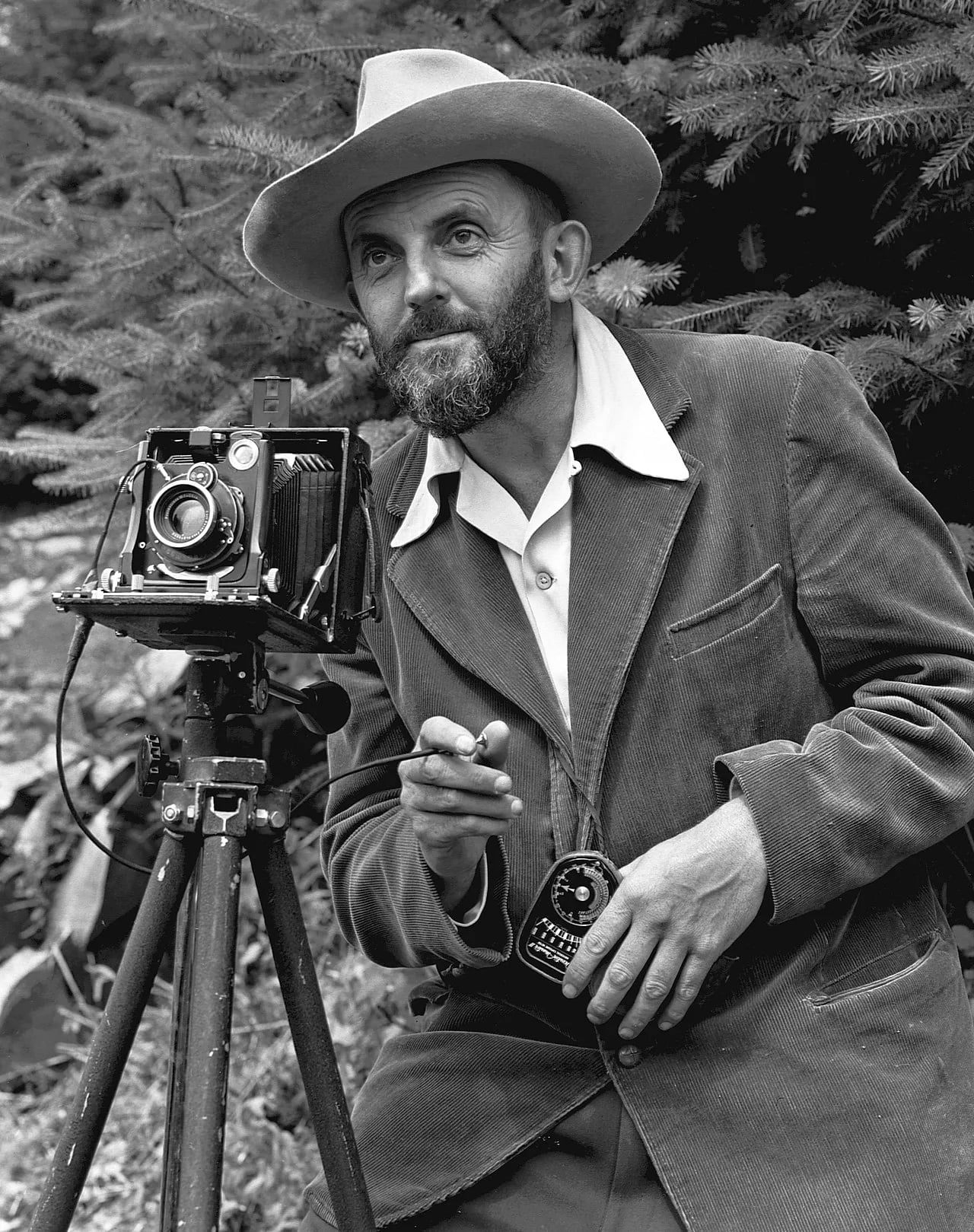 Portrait of Ansel Adams (1902–1984) – memorial page