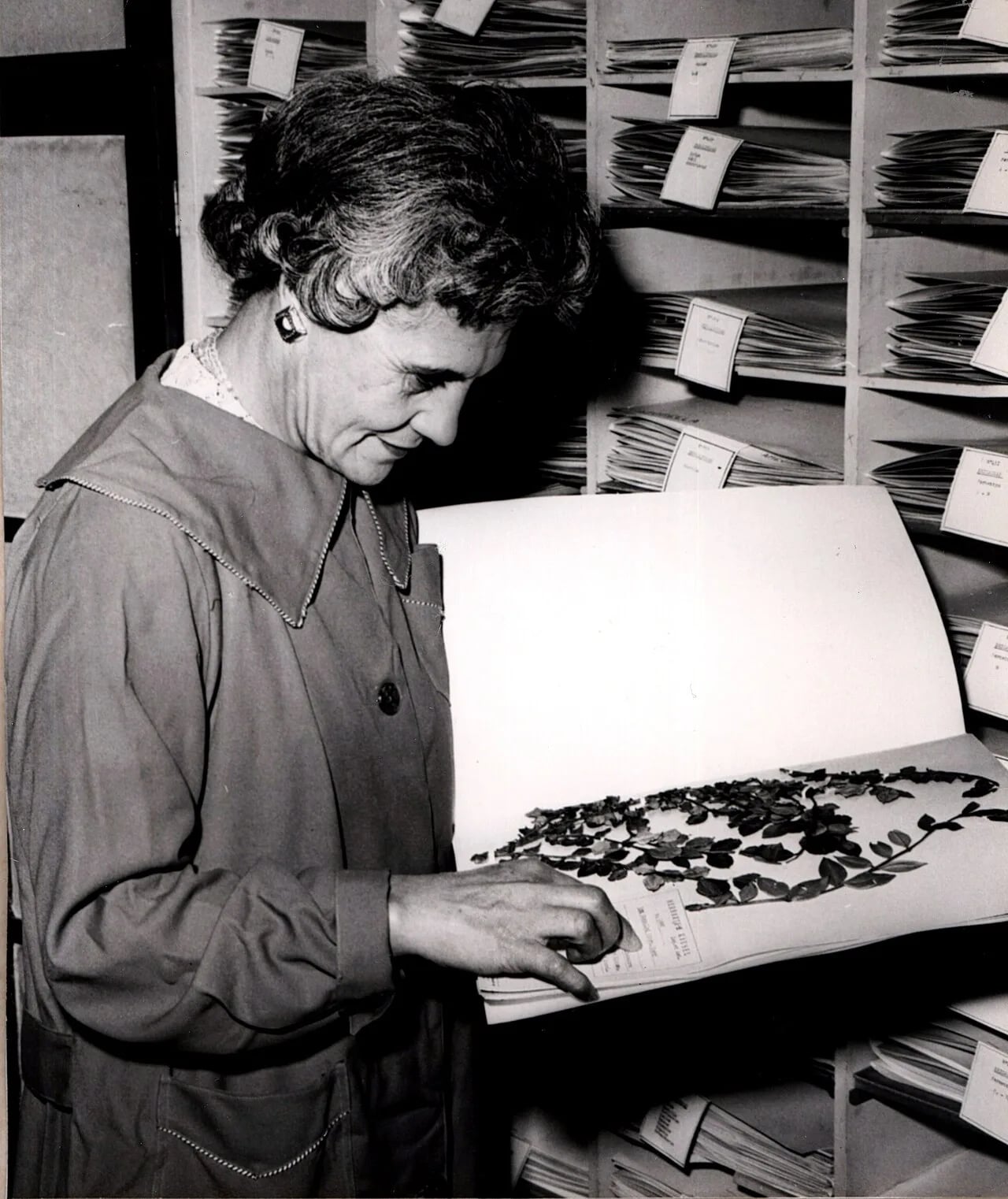 Portrait of Rebeca Acevedo (1902–1987) – memorial page