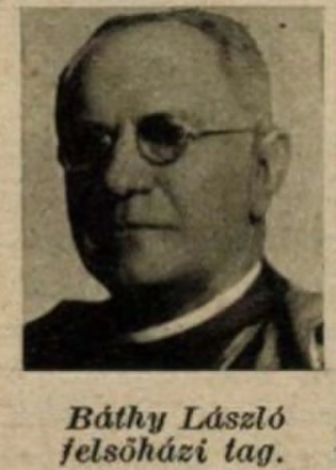 Porträt von László Báthy (1861–1933) – Gedenkseite