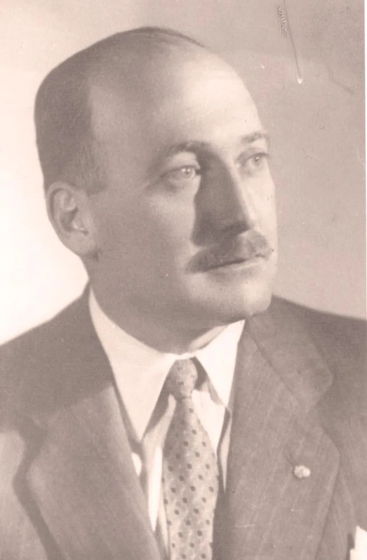 Porträt von Rinaldo Viviani (1913–1979) – Gedenkseite
