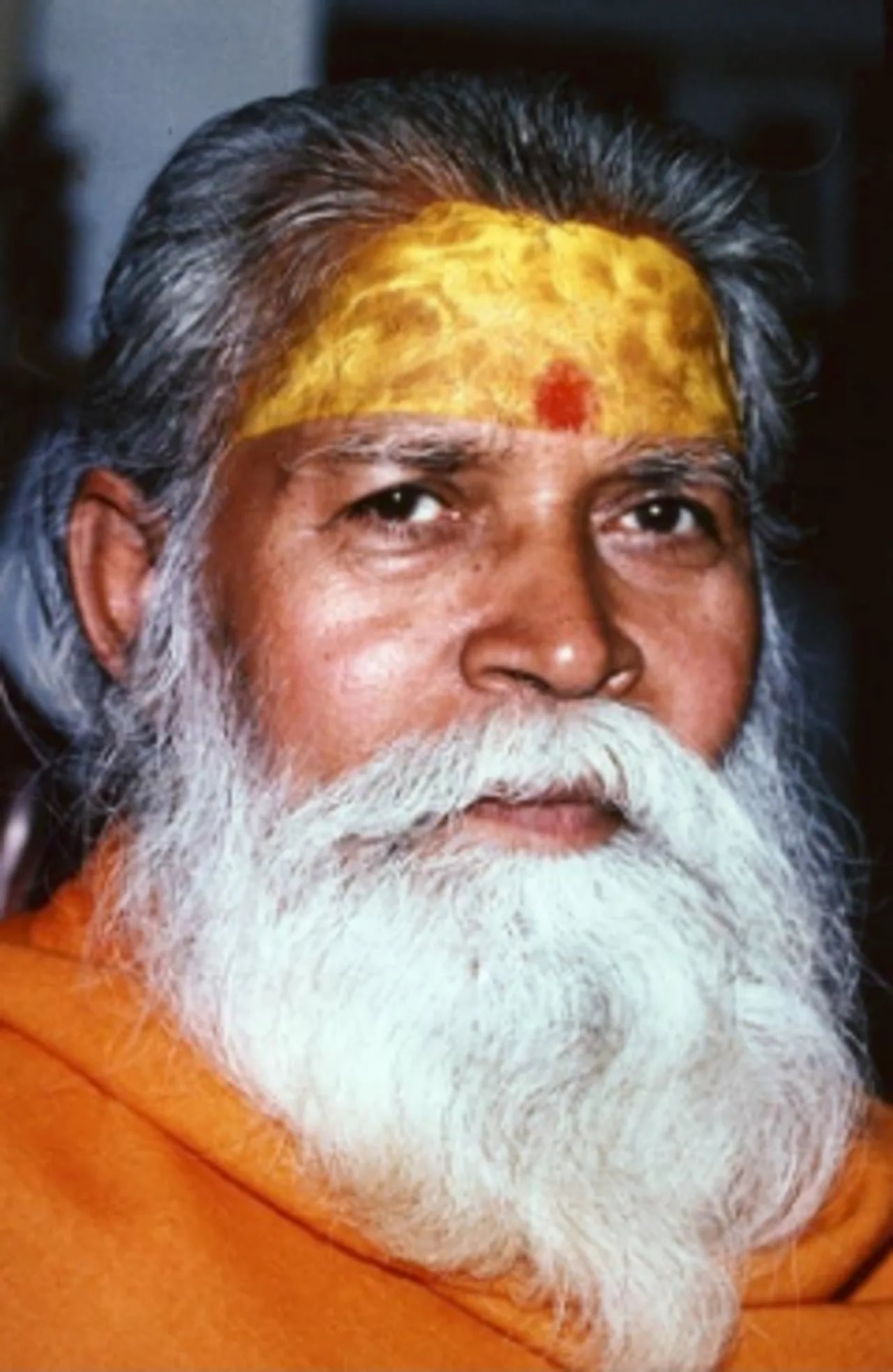 Portrait of Swami Shantananda Saraswati (1913–1997) – memorial page