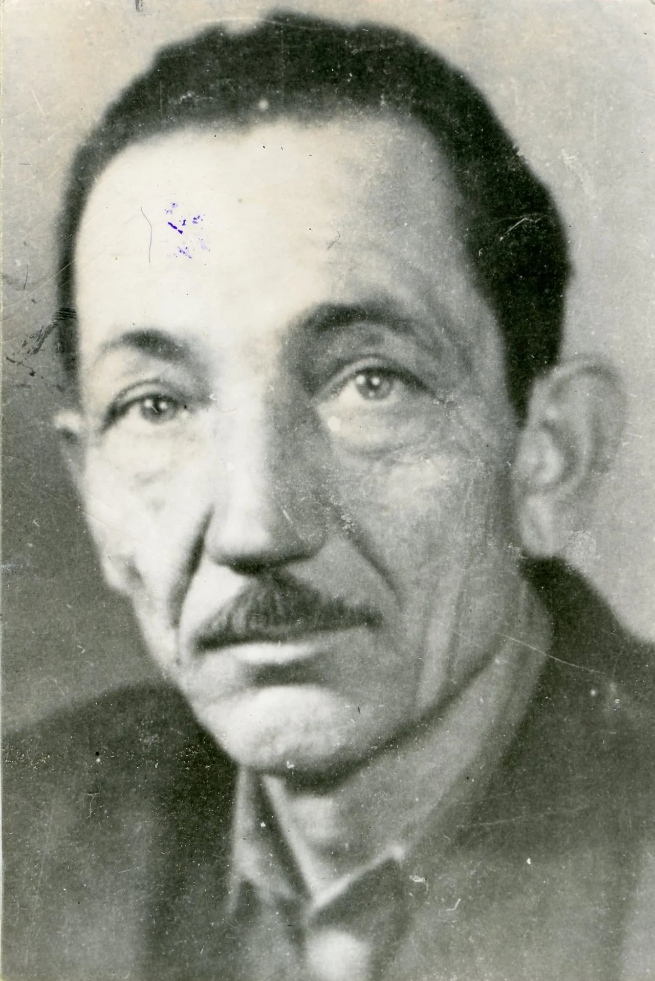 Porträt von Mihajlo Aladić (1900–1964) – Gedenkseite