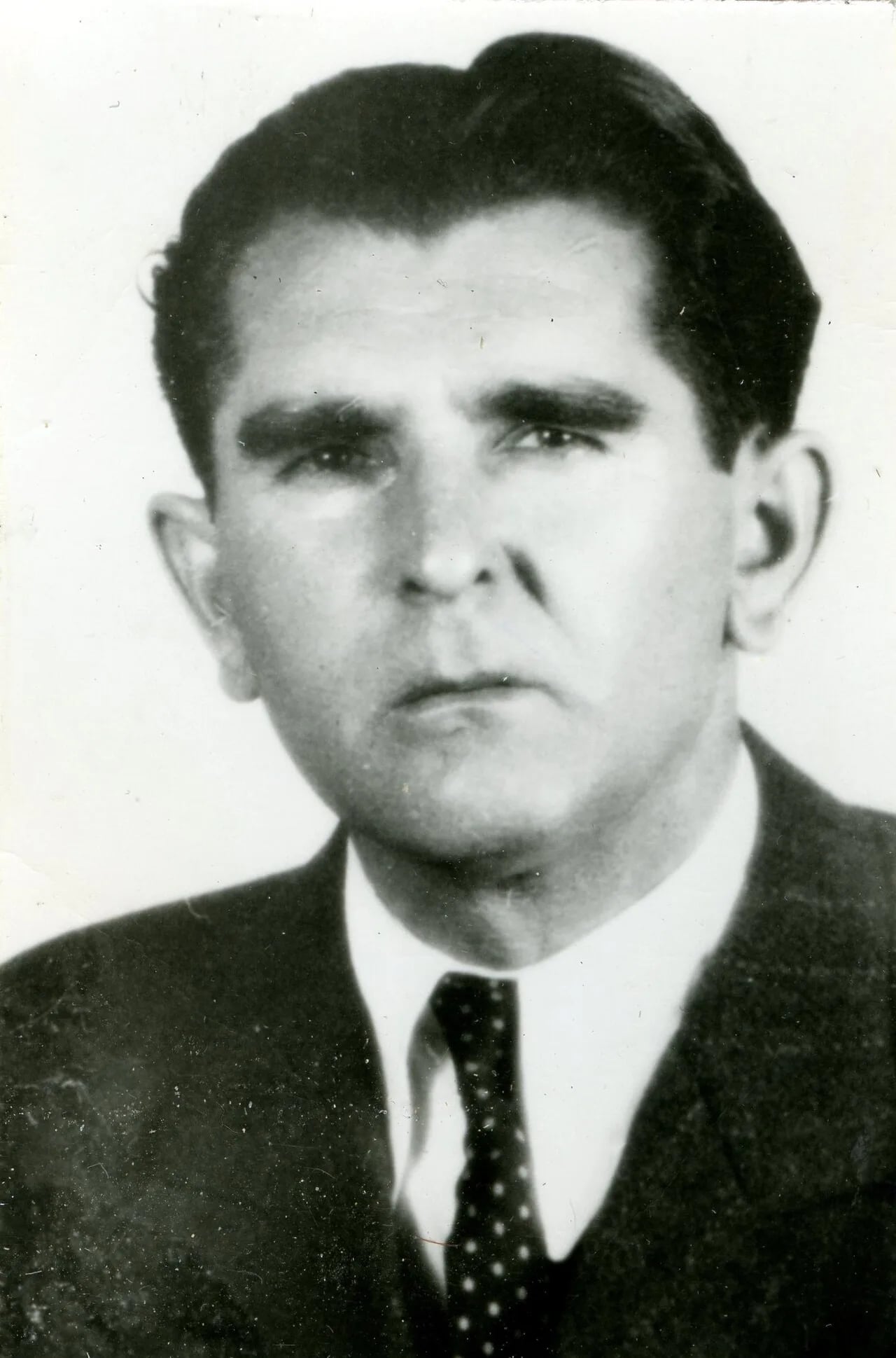 Porträt von Sava Ćirpovac (1913–1997) – Gedenkseite