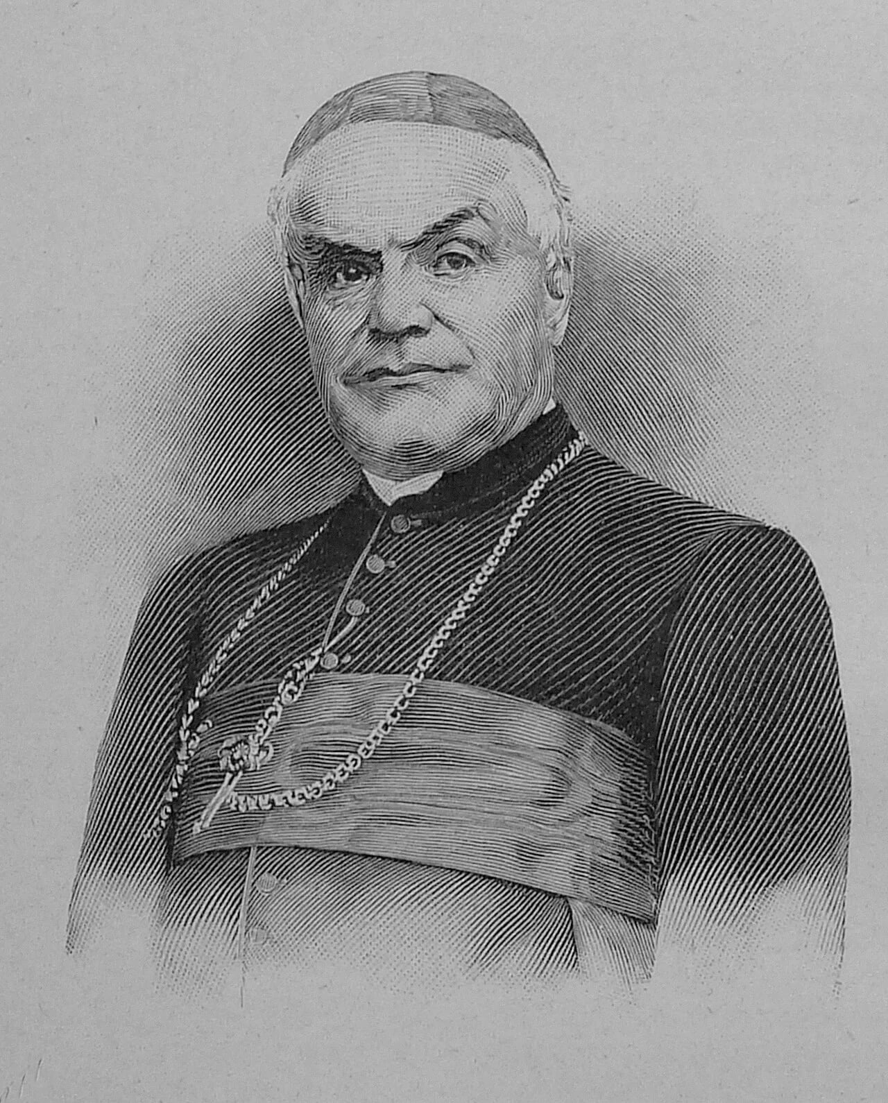 Portrait of François-Désiré Mathieu (1839–1908) – memorial page