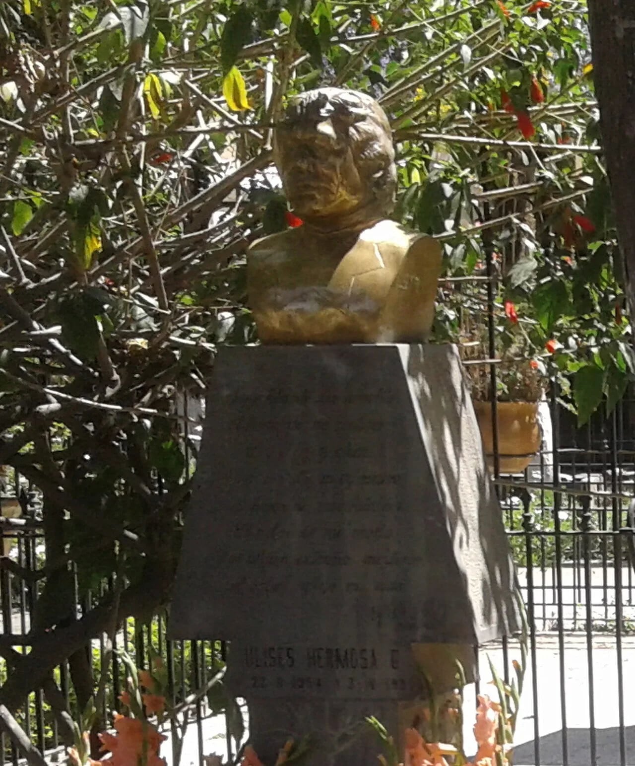 Porträt von Ulises Hermosa Gonzáles (1954–1992) – Gedenkseite