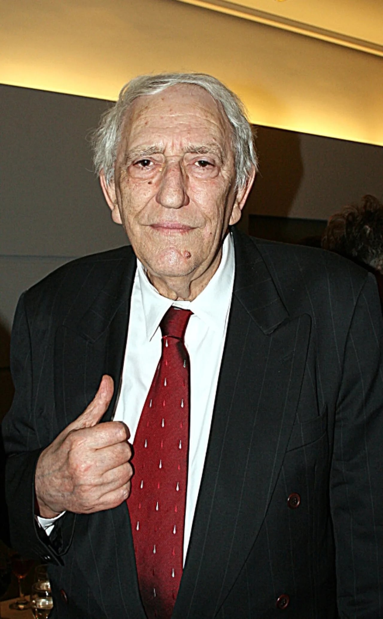 Porträt von Ivo Brešan (1936–2017) – Gedenkseite