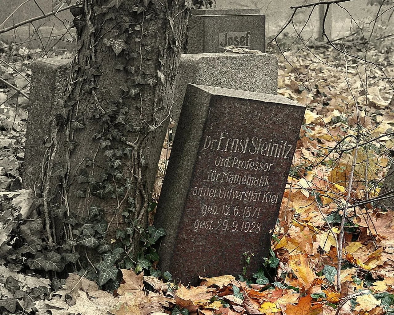 Portrait of Ernst Steinitz (1871–1928) – memorial page