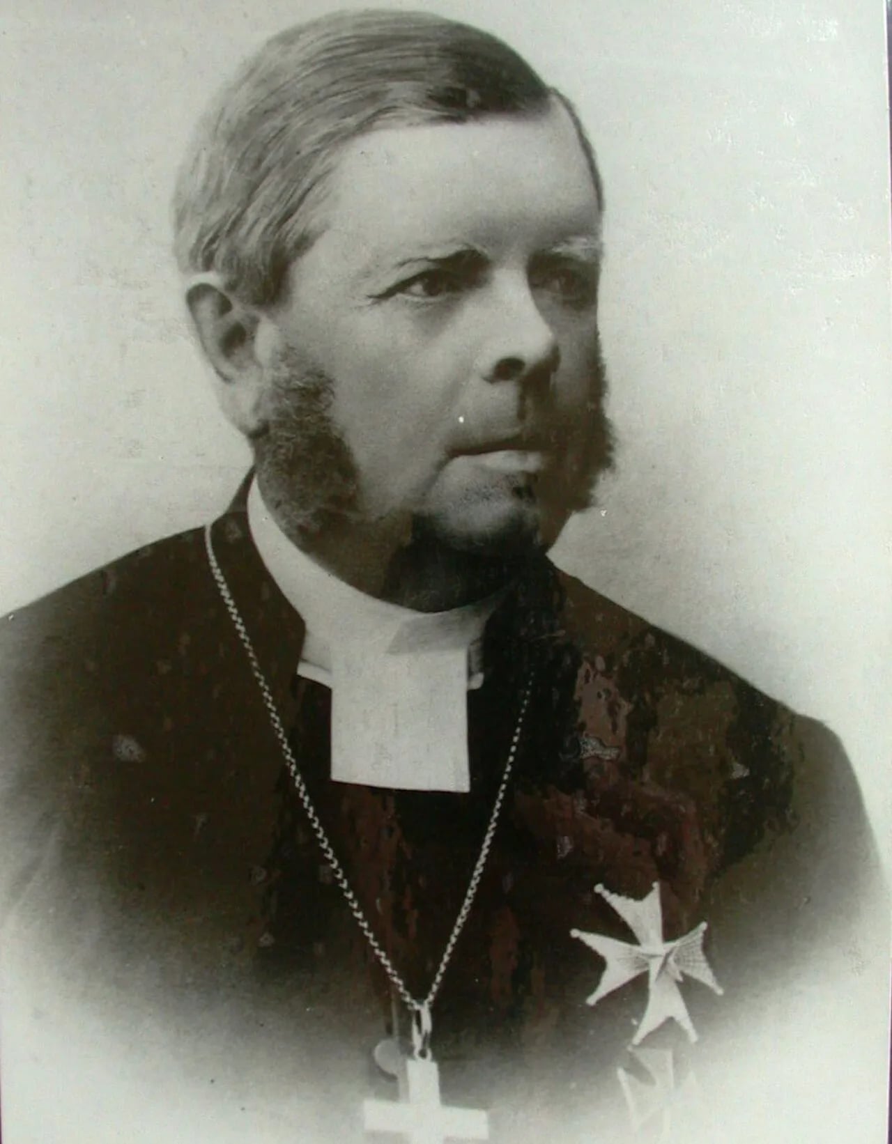Portrait of Theodor Strömberg (1820–1889) – memorial page