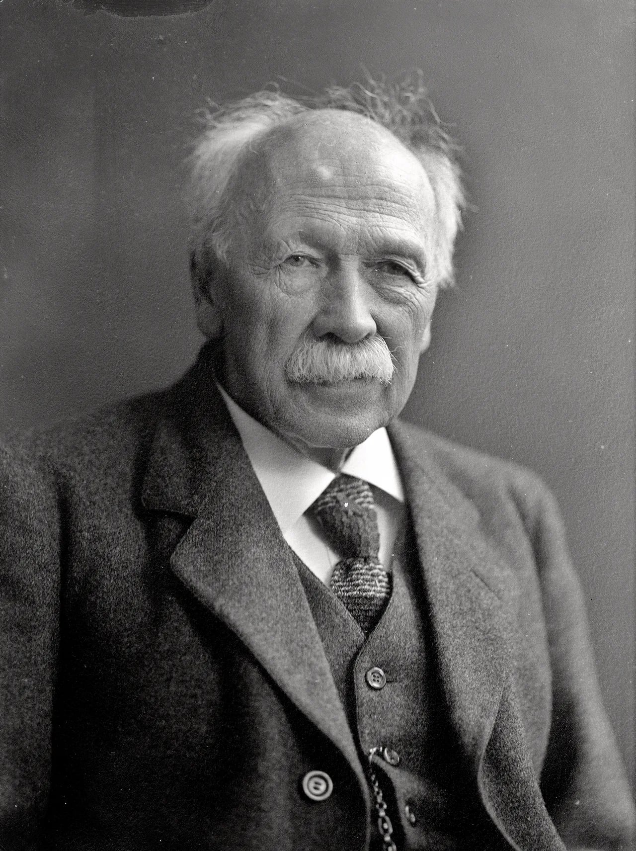 Porträt von Esaias Tegnér (1843–1928) – Gedenkseite