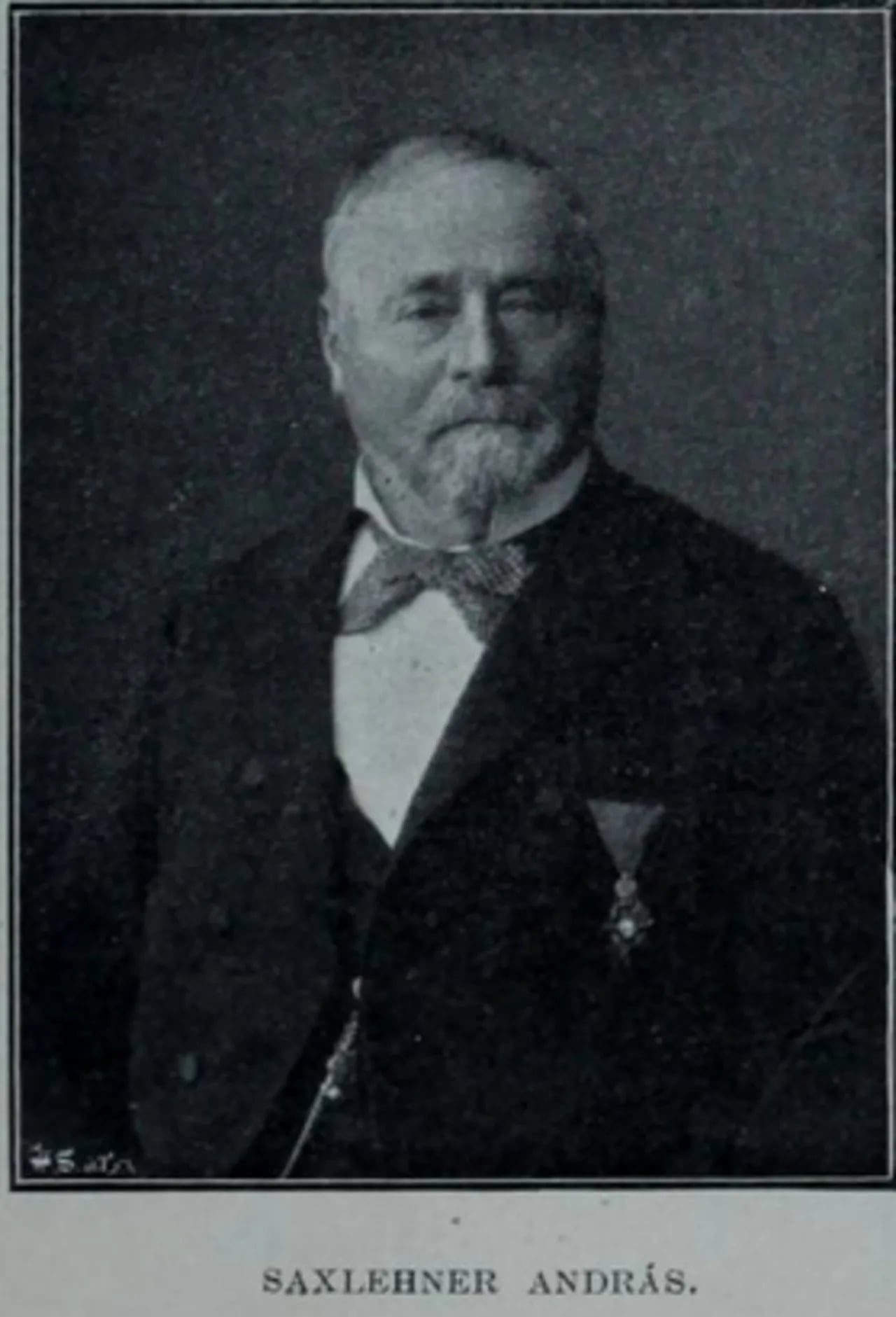 Portrait of András Saxlehner (1815–1889) – memorial page
