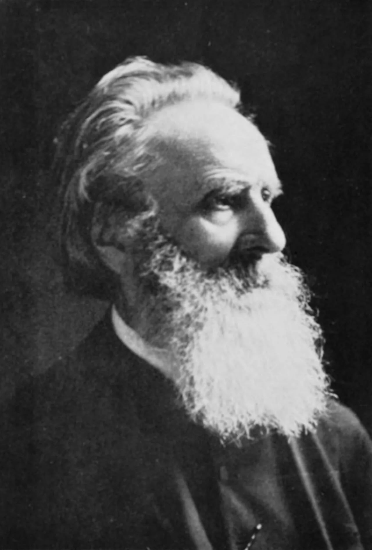 Porträt von Johannes Adam Simon Oertel (1823–1909) – Gedenkseite