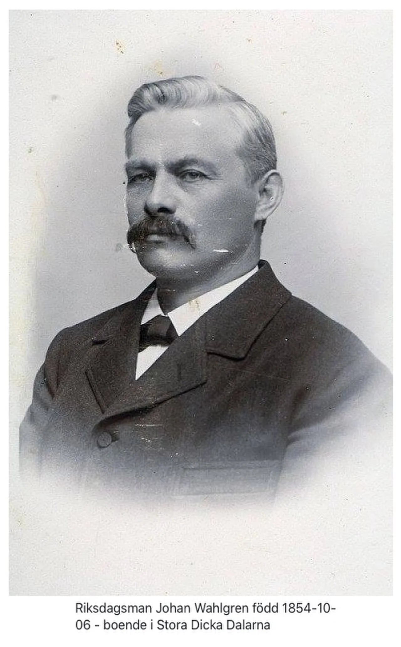 Portrait of Johan Wahlgren (1854–1928) – memorial page