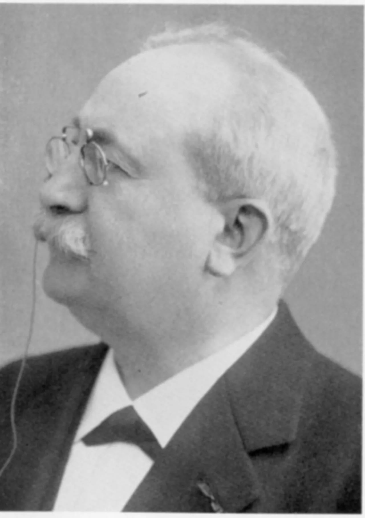 Porträt von Theodor Westrin (1850–1928) – Gedenkseite