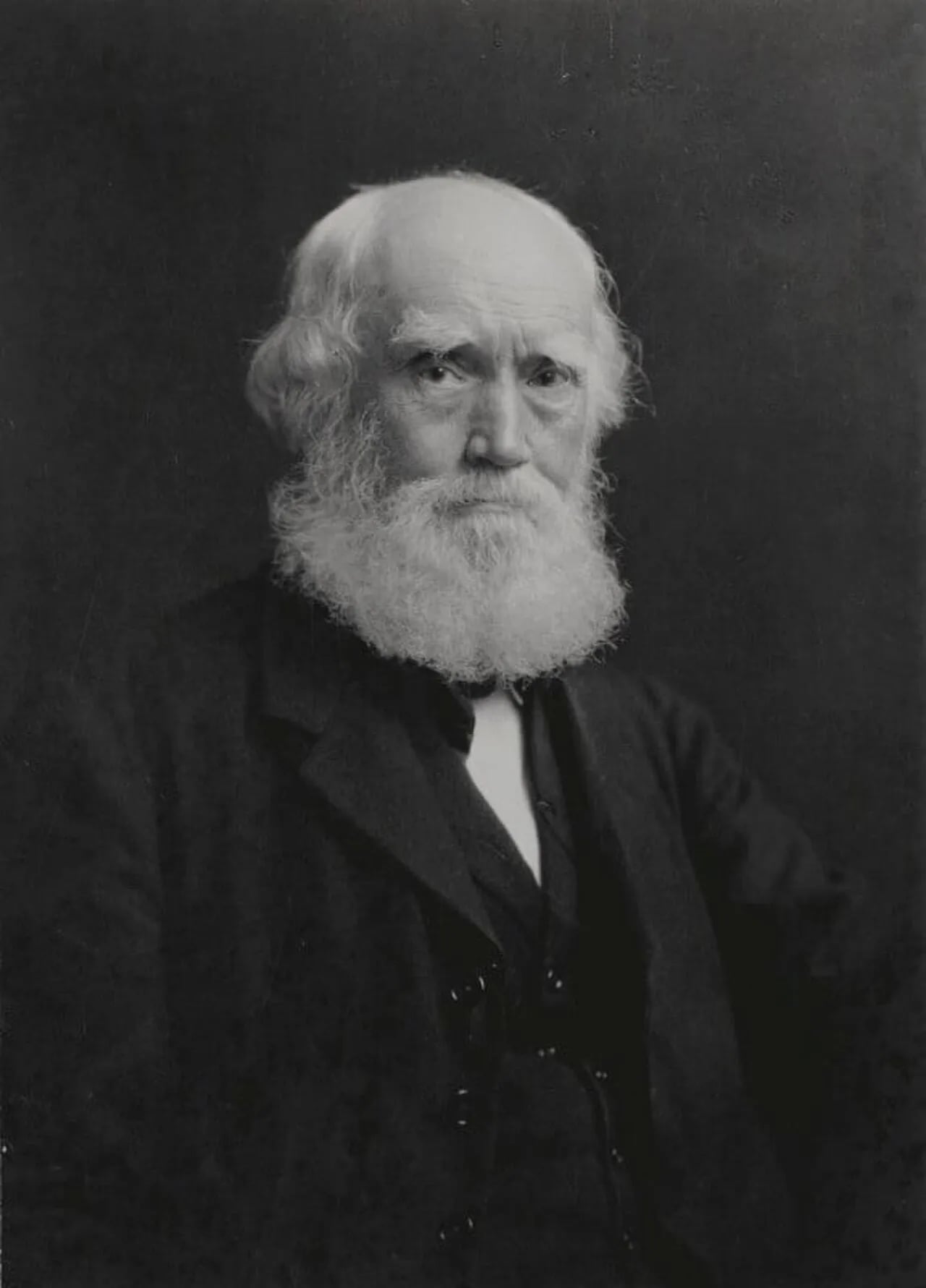 Portrait of John Lewis (1836–1928) – memorial page