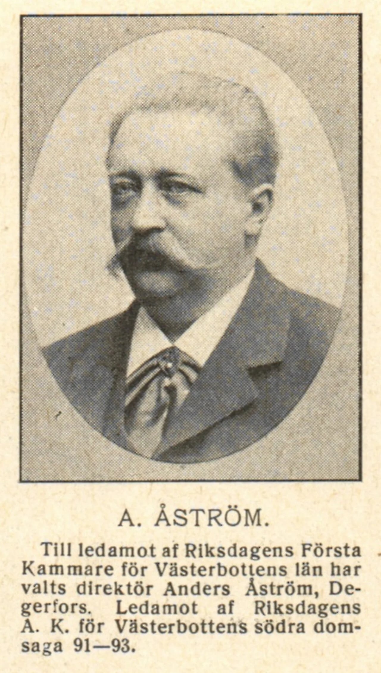 Porträt von Anders Åström (1859–1915) – Gedenkseite