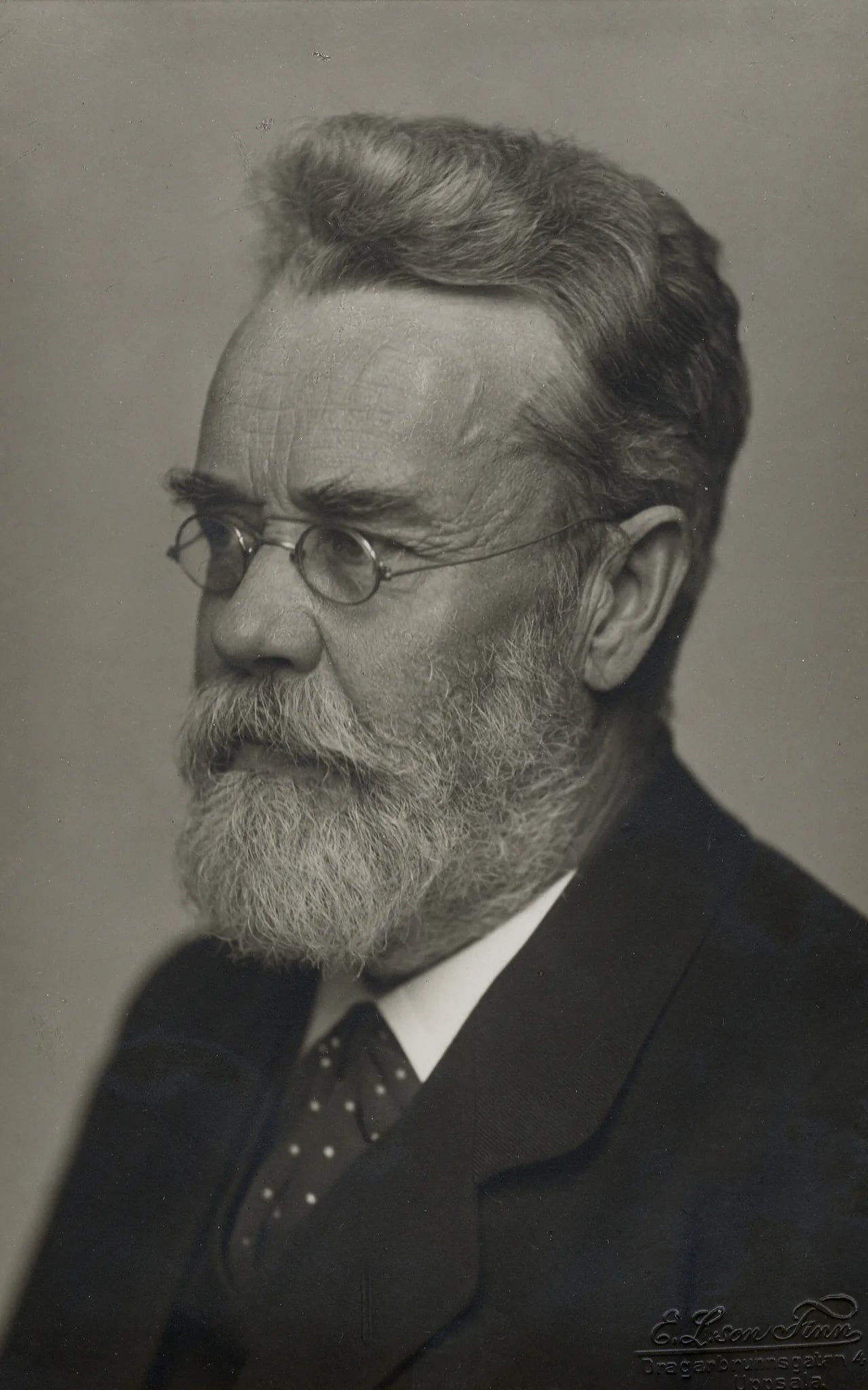 Porträt von Hjalmar Öhrwall (1851–1929) – Gedenkseite
