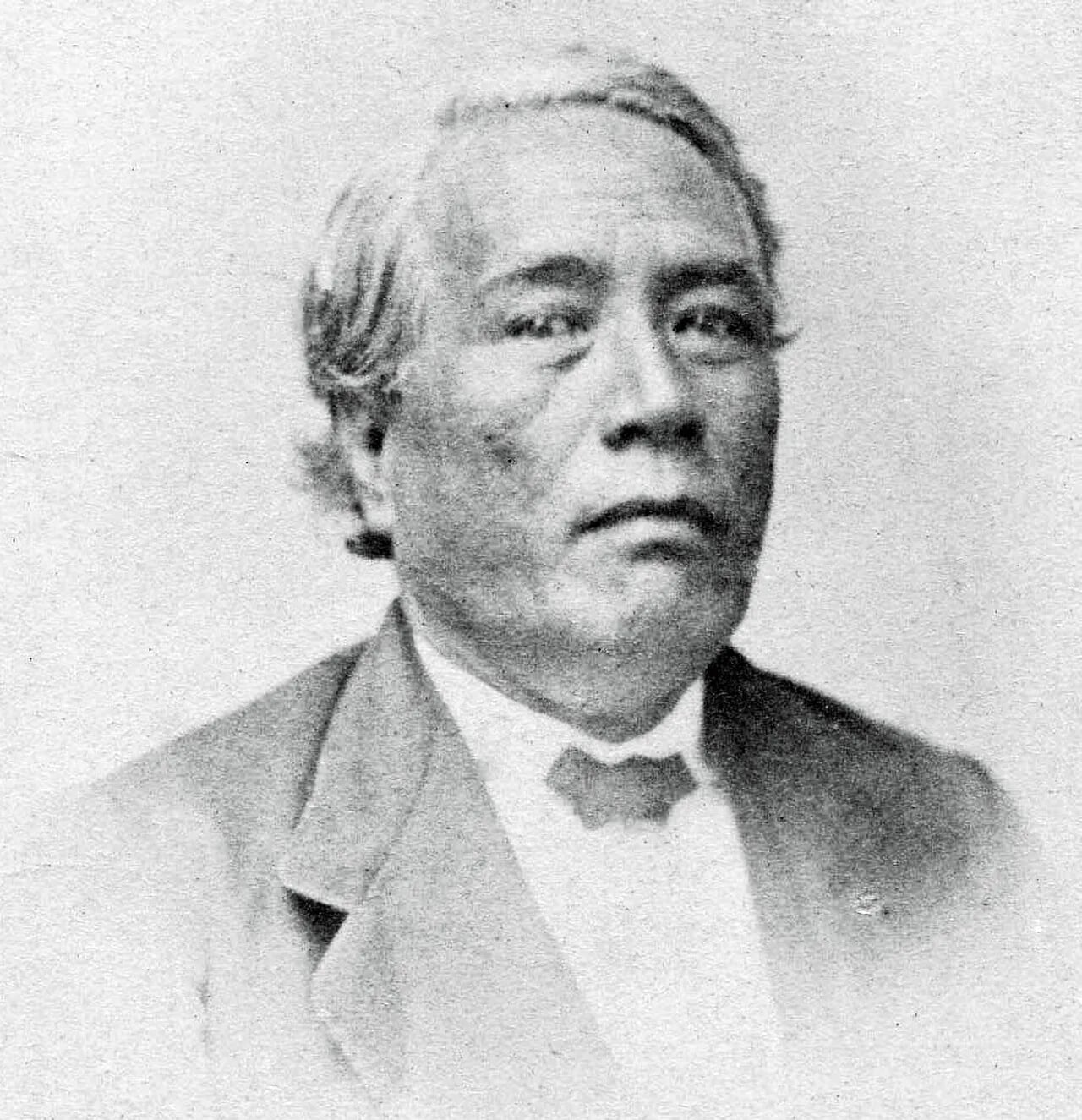 Portrait of Jonatana Napela (1813–1879) – memorial page