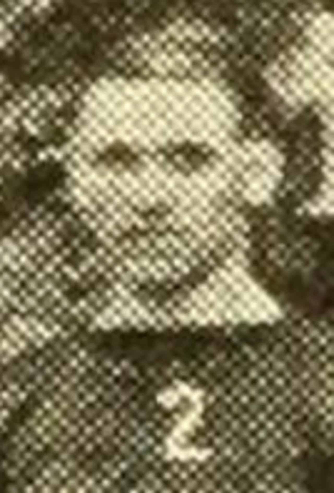 Portrait of Joseph DuMoe (1895–1959) – memorial page