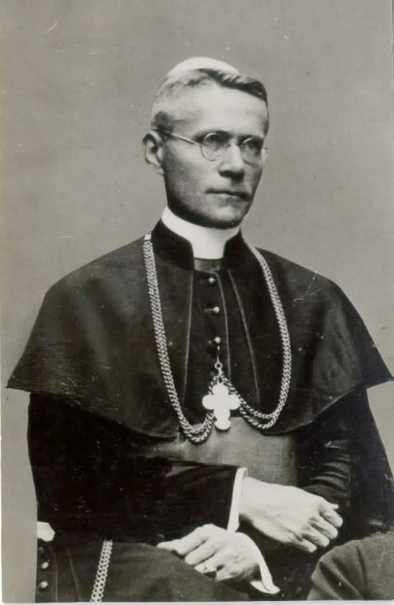 Portrait of Josip Srebrnič (1876–1966) – memorial page