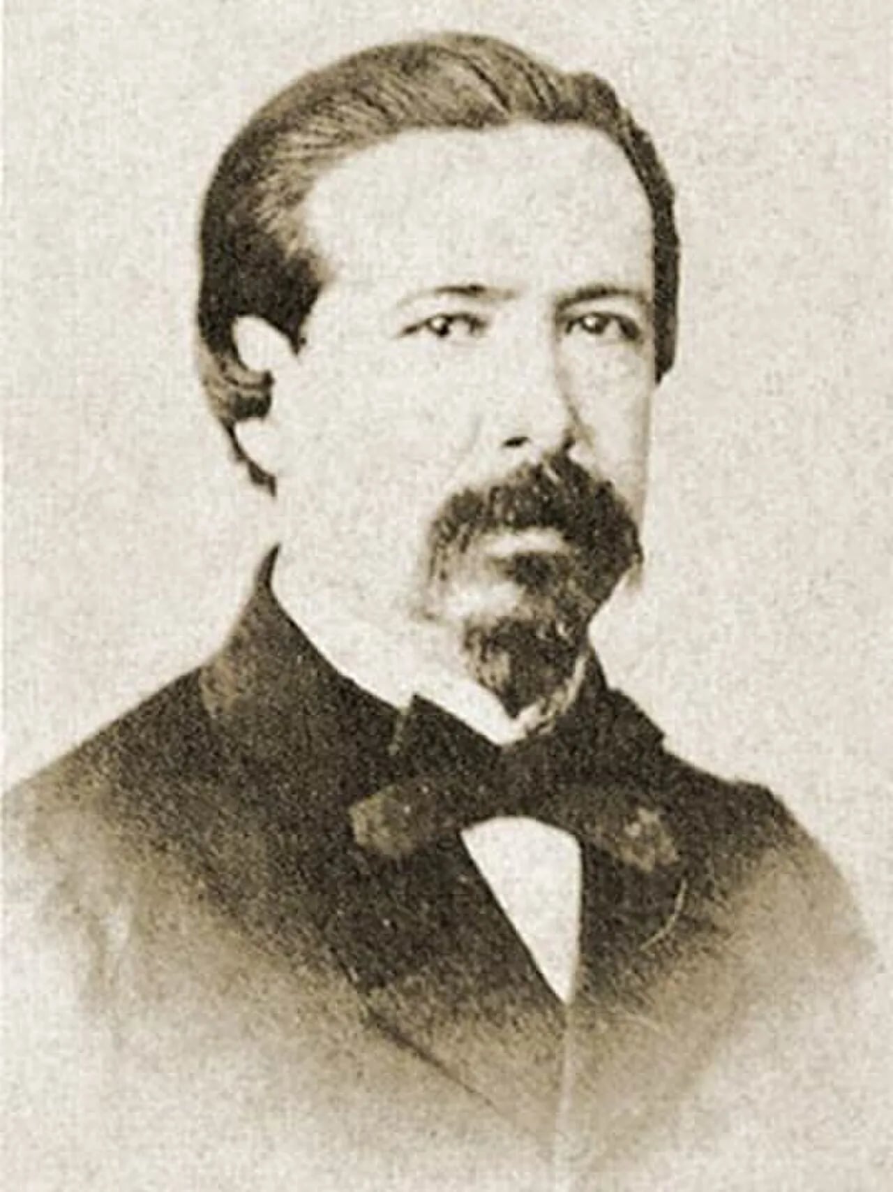 Porträt von João de Lemos (1819–1890) – Gedenkseite